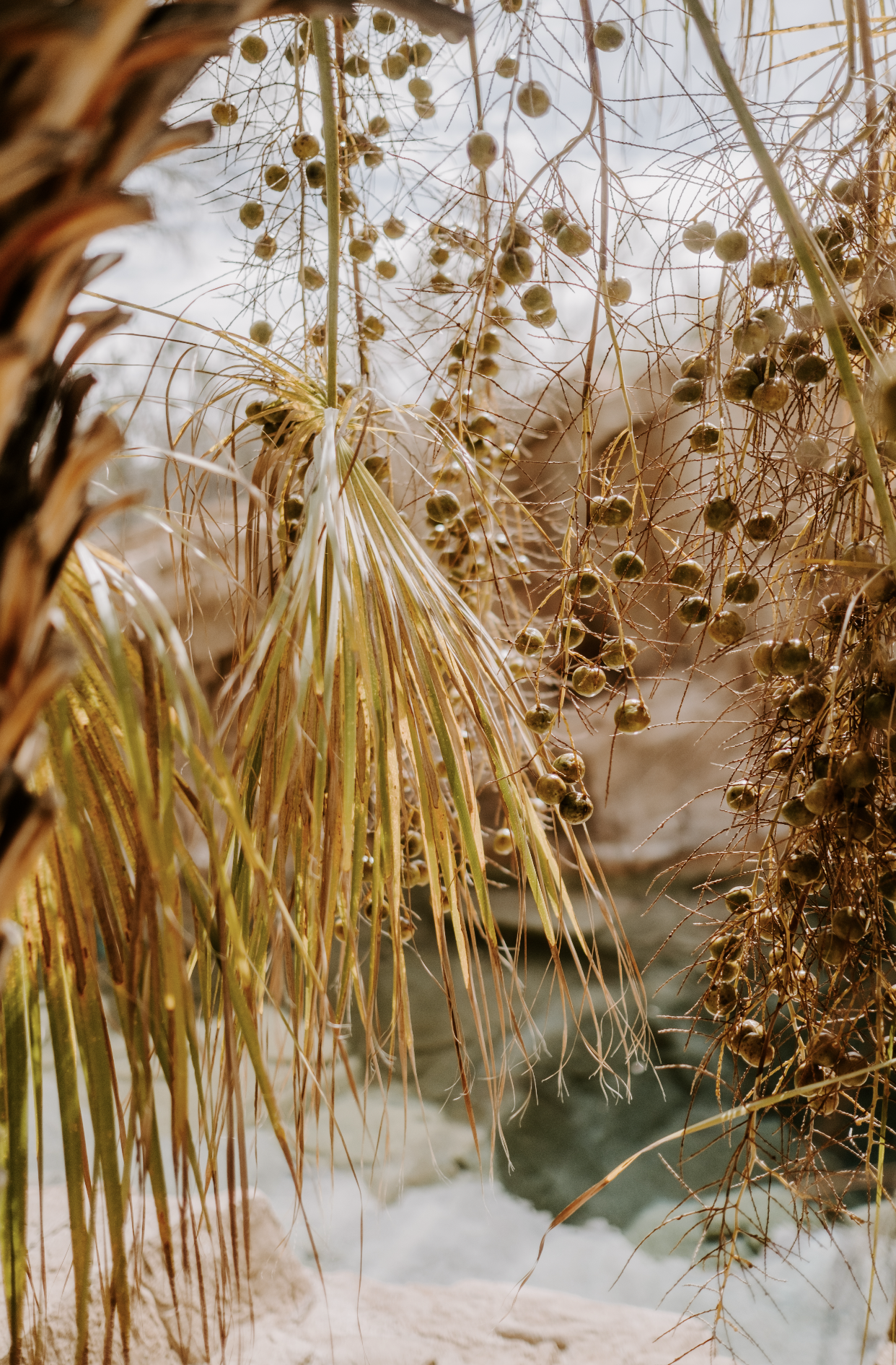 Screenshot 2026-02-25 at 9.57.20 AM.png