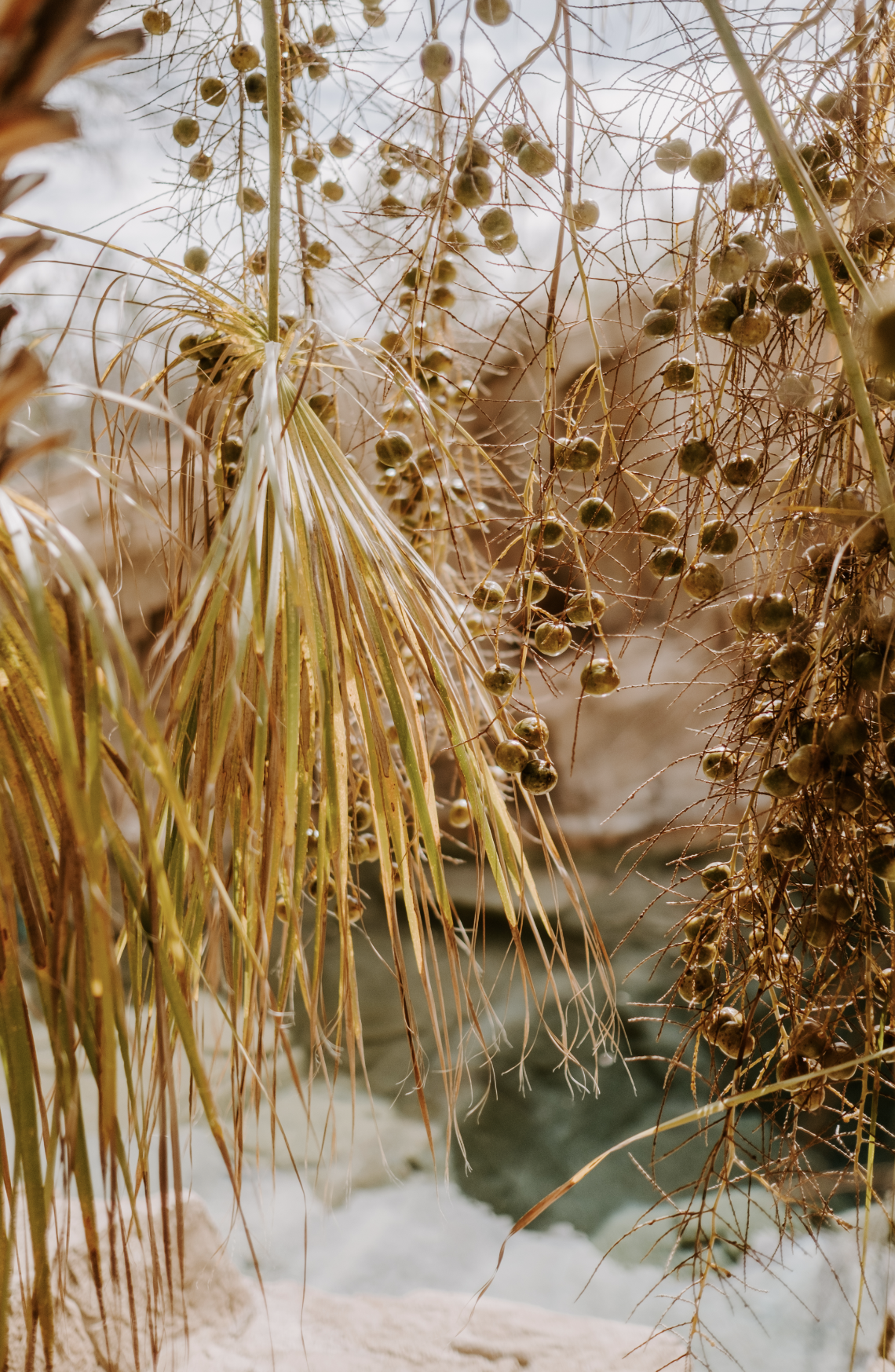 Screen Shot 2023-04-22 at 10.49.52 PM.png