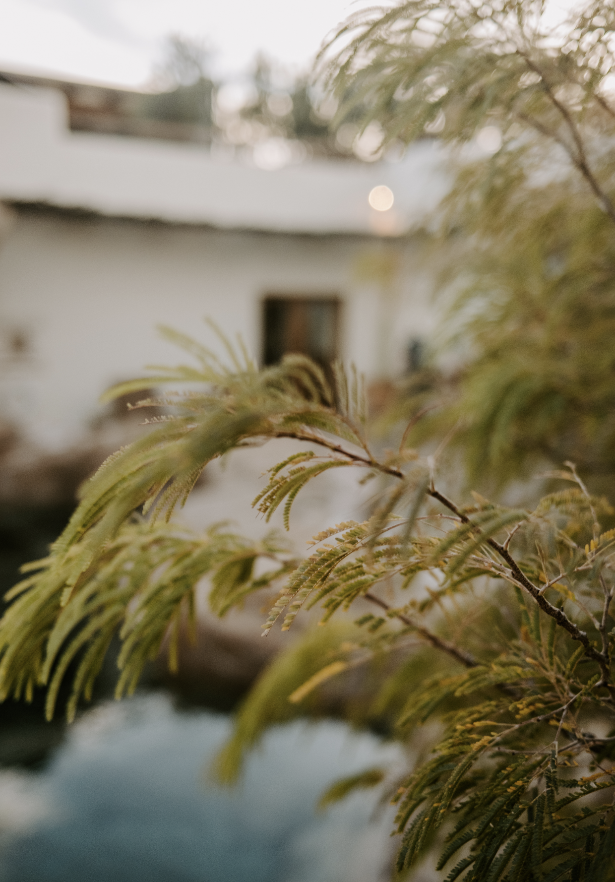 Screen Shot 2023-04-22 at 11.02.14 PM.png