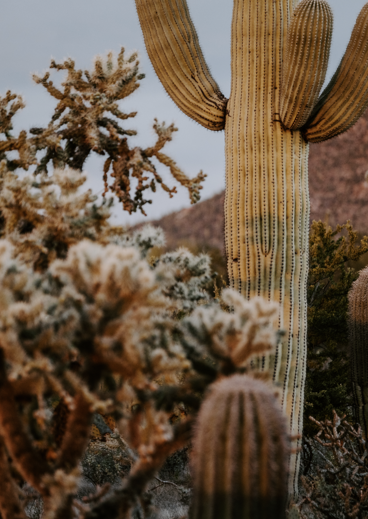 Screen Shot 2023-04-22 at 10.48.48 PM.png