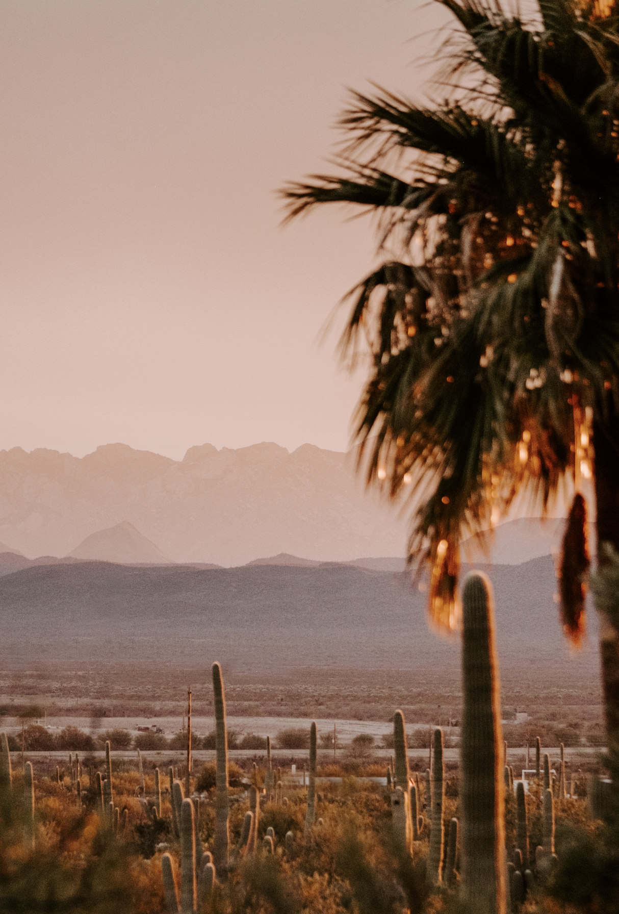 Screen Shot 2023-04-22 at 10.51.59 PM.png