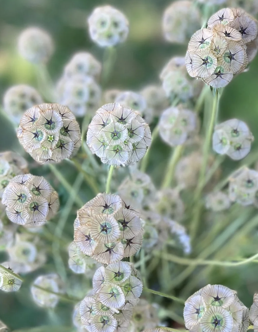 Screenshot 2023-04-06 at 2.16.43 PM.png