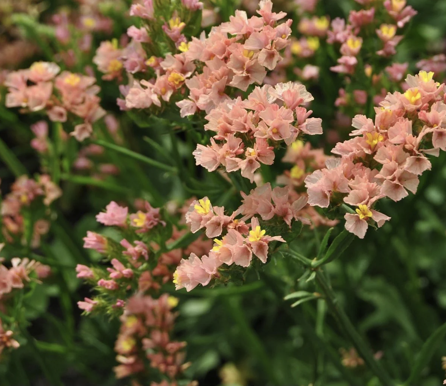 Screenshot 2023-04-06 at 9.33.37 PM.png