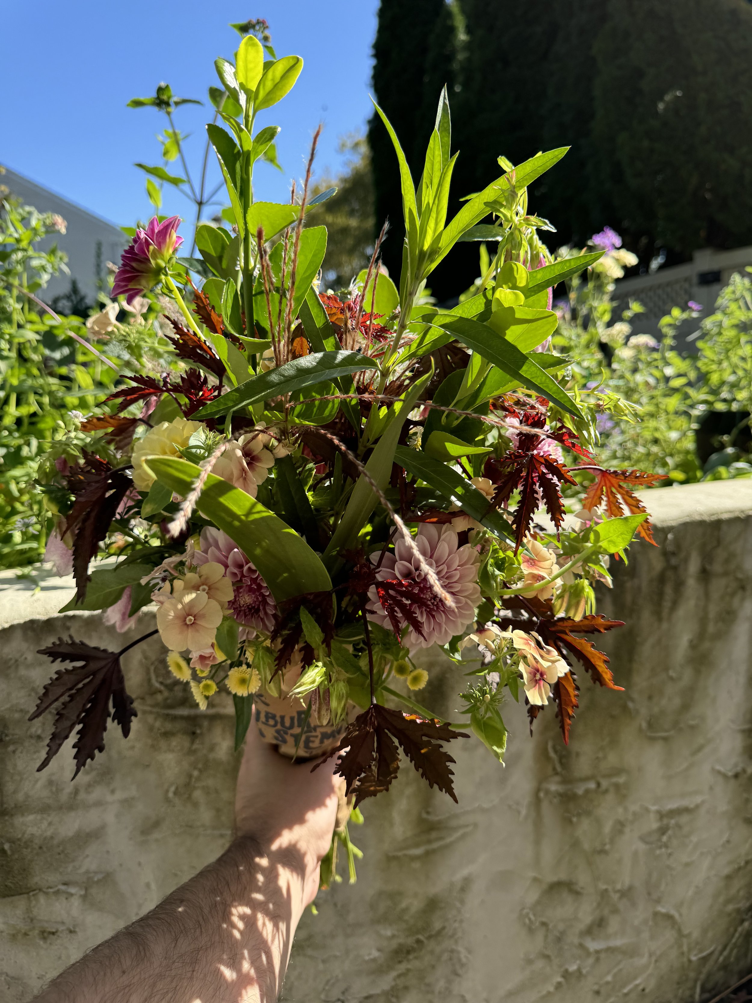 IMG_1976.jpeg