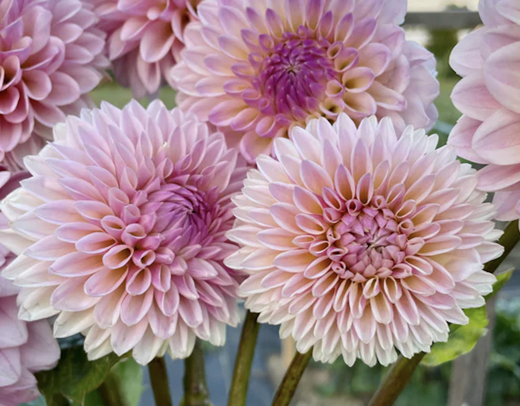 Screenshot 2023-05-14 at 9.02.13 PM.png