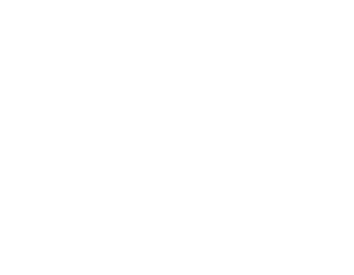 The Lariat