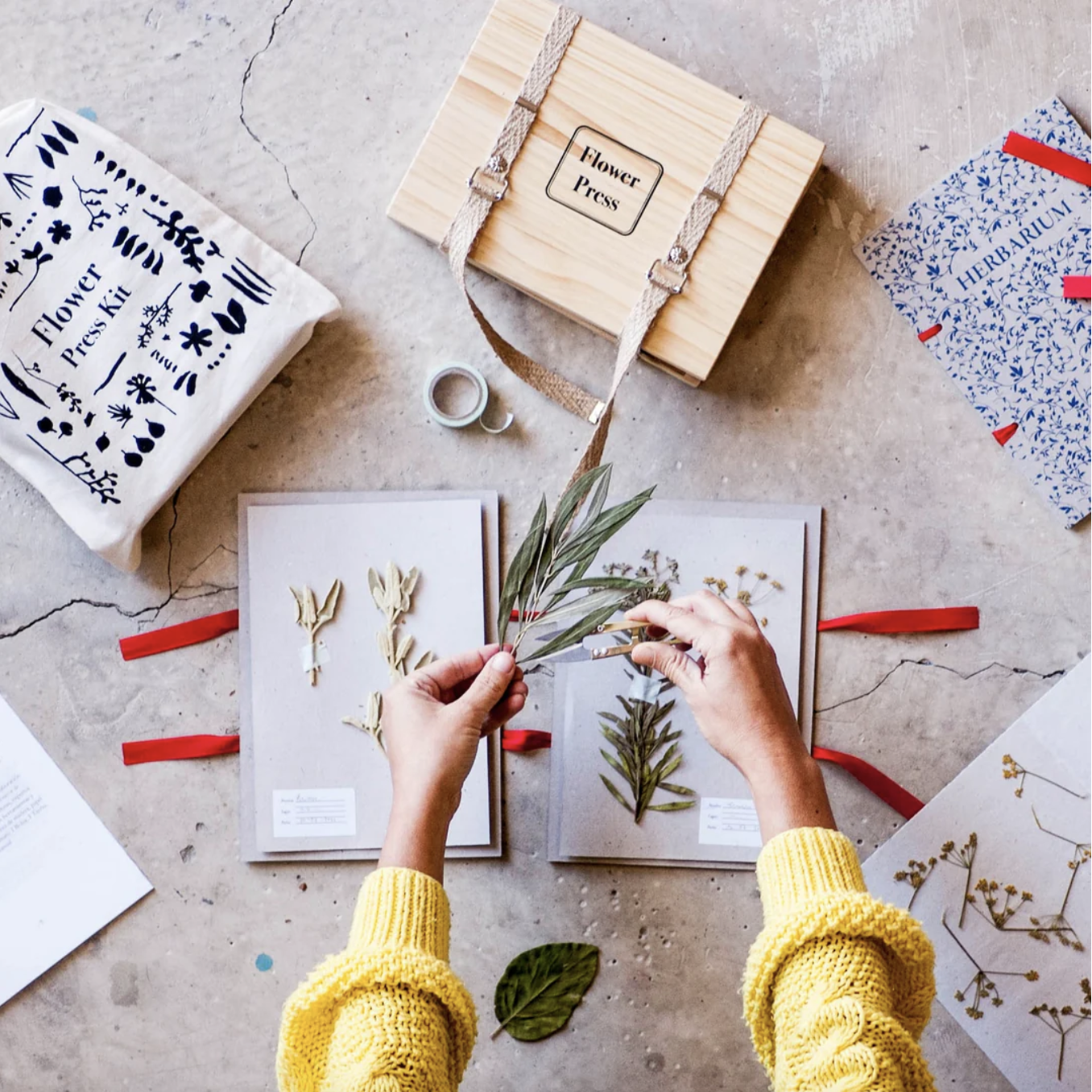 Screenshot 2023-04-12 at 9.04.10 AM.png