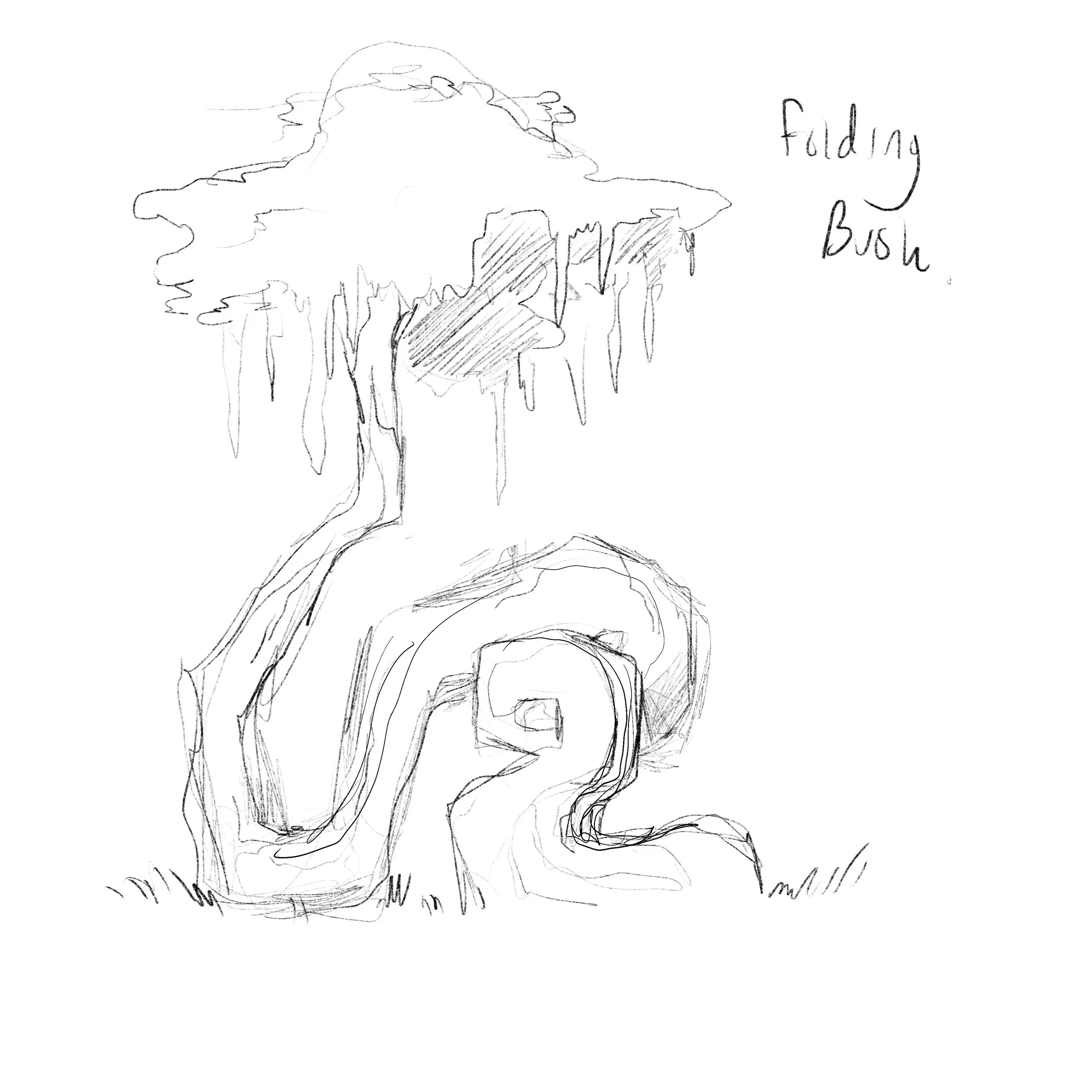 Otris plant life designs: