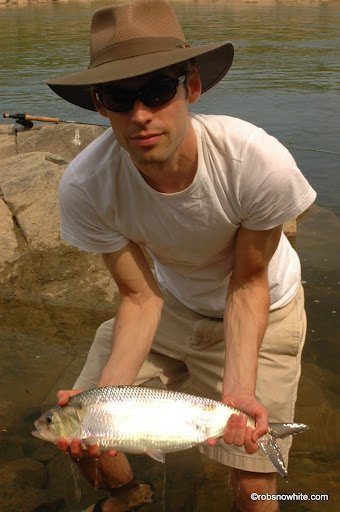 Man wearing a wide-brimmed hat and sunglasses holds a fish near a riverbank.
