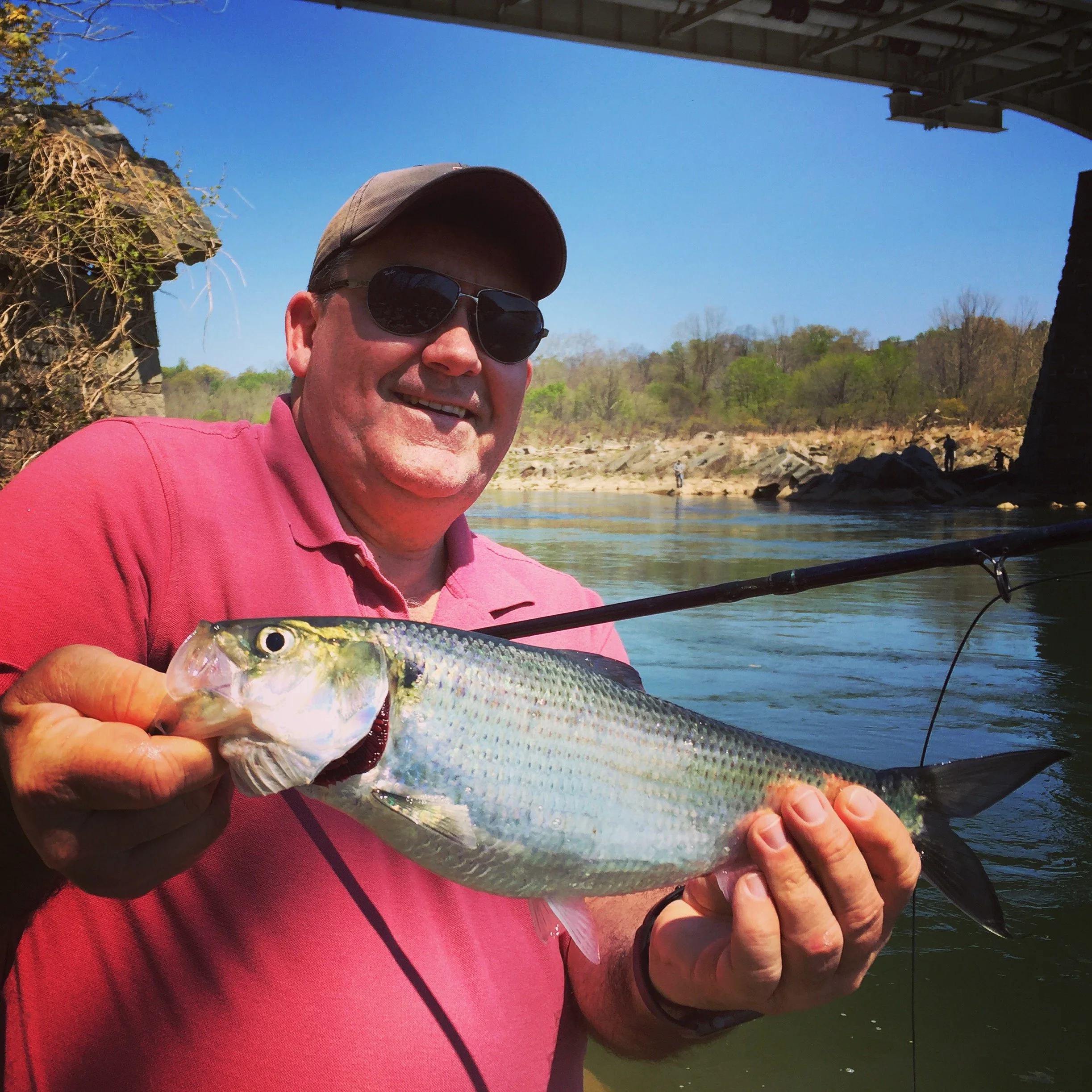 A man wearing sunglasses and a baseball cap smiling while holding a large fish he caught by a river on a sunny day.