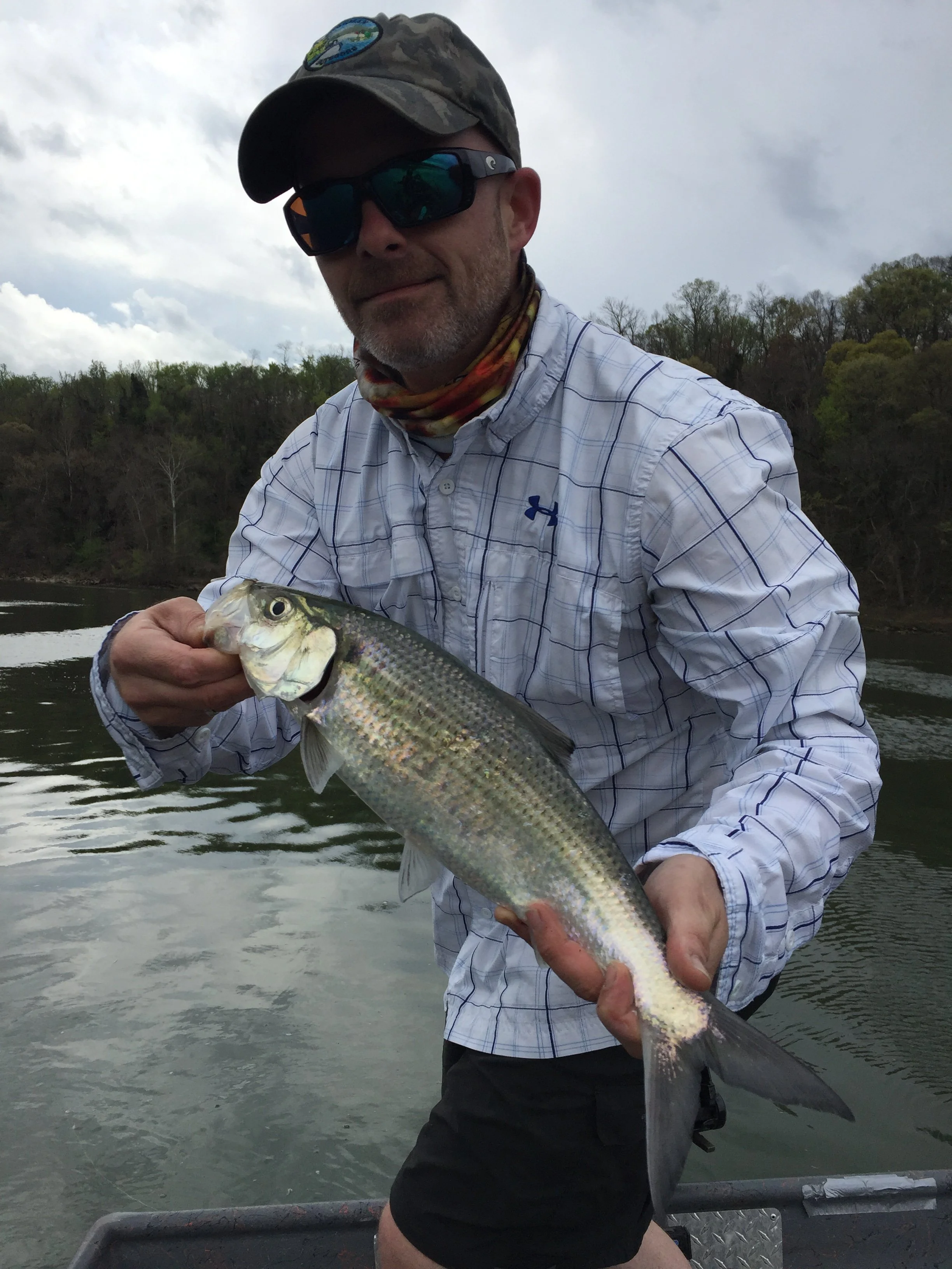 Fly fishing four mile run. 