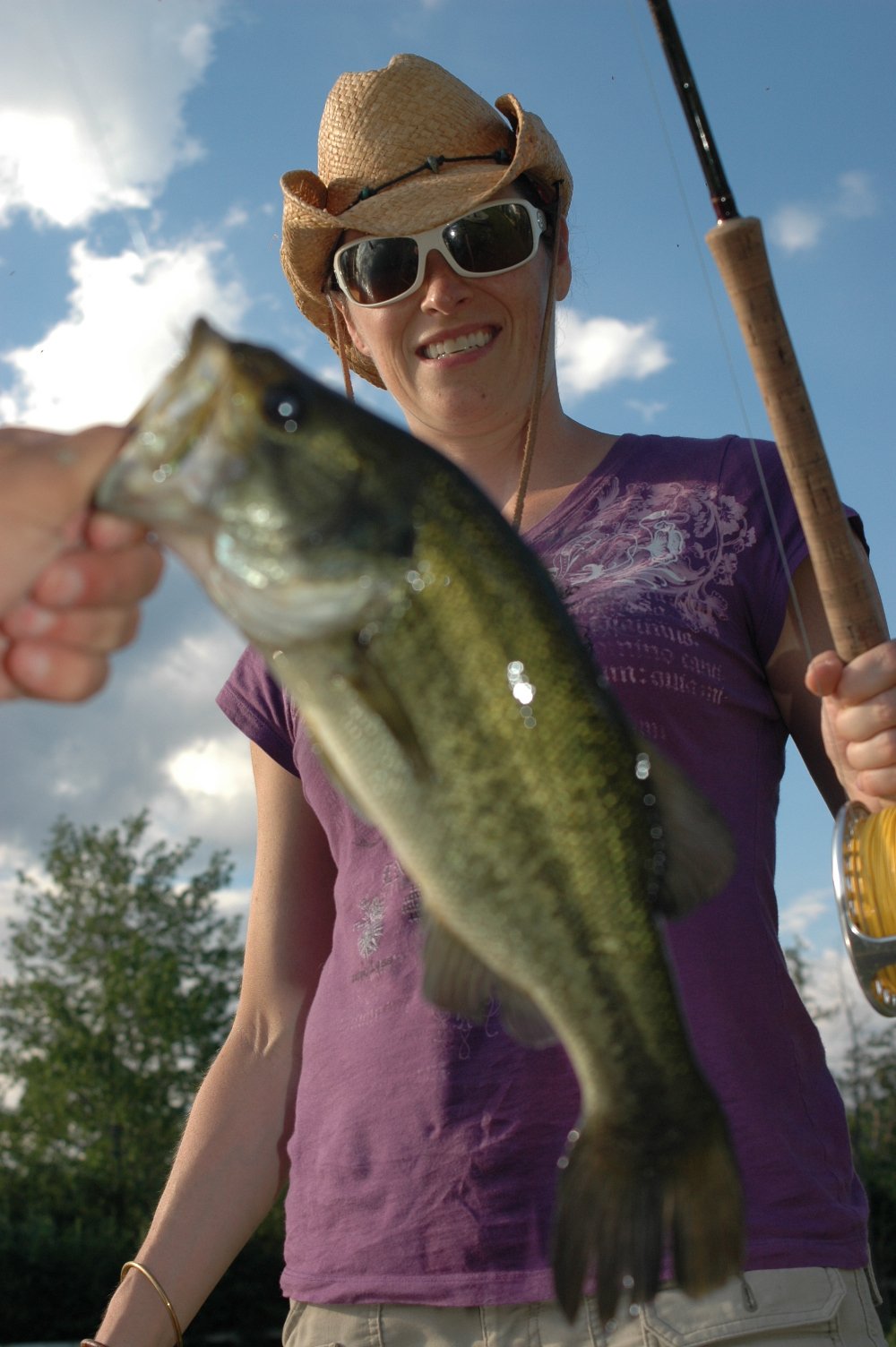 Bass on the fly - Catskills 