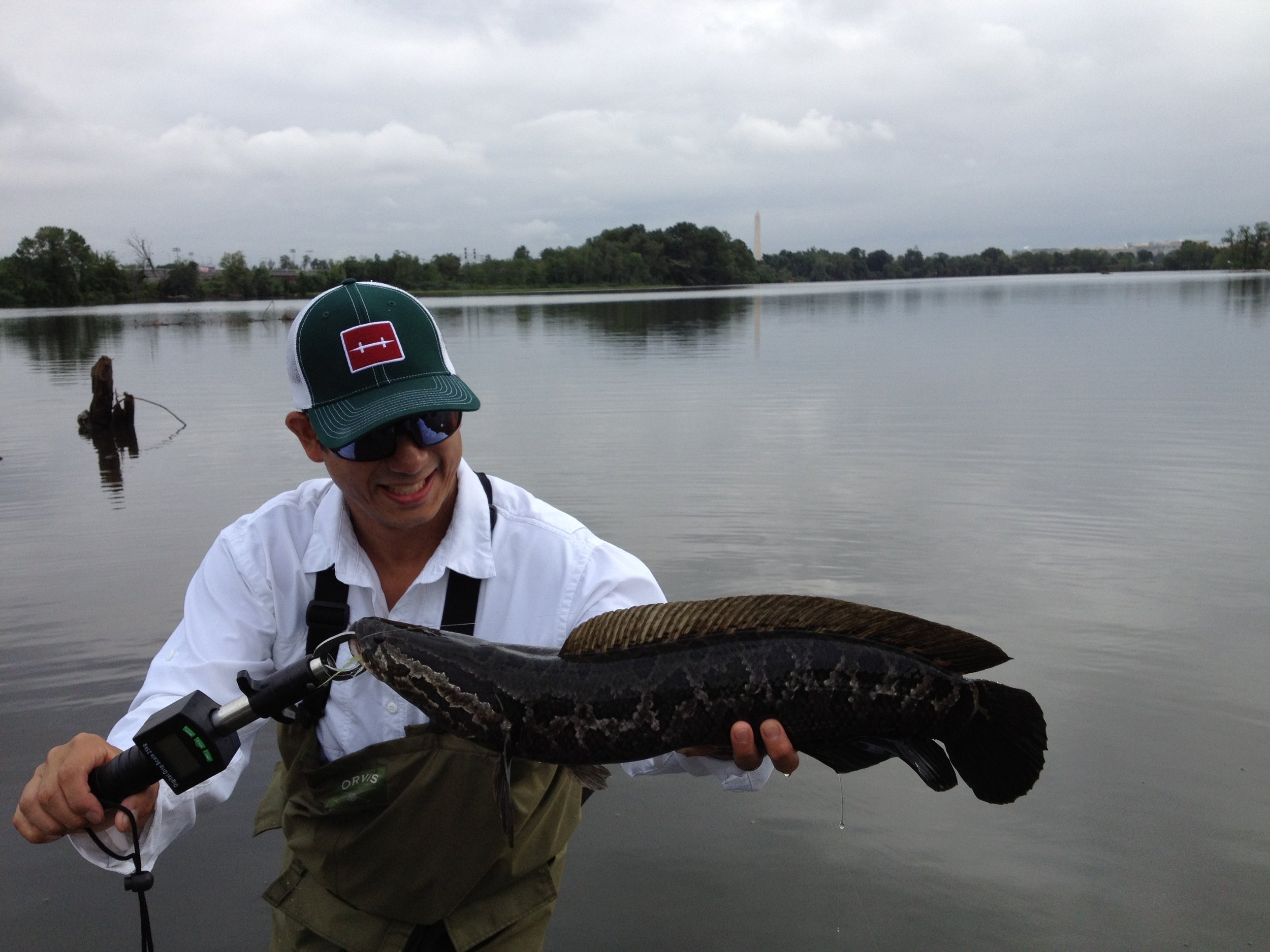 Brian with a northern snakehead. Fish had square of styrofoam in its throat