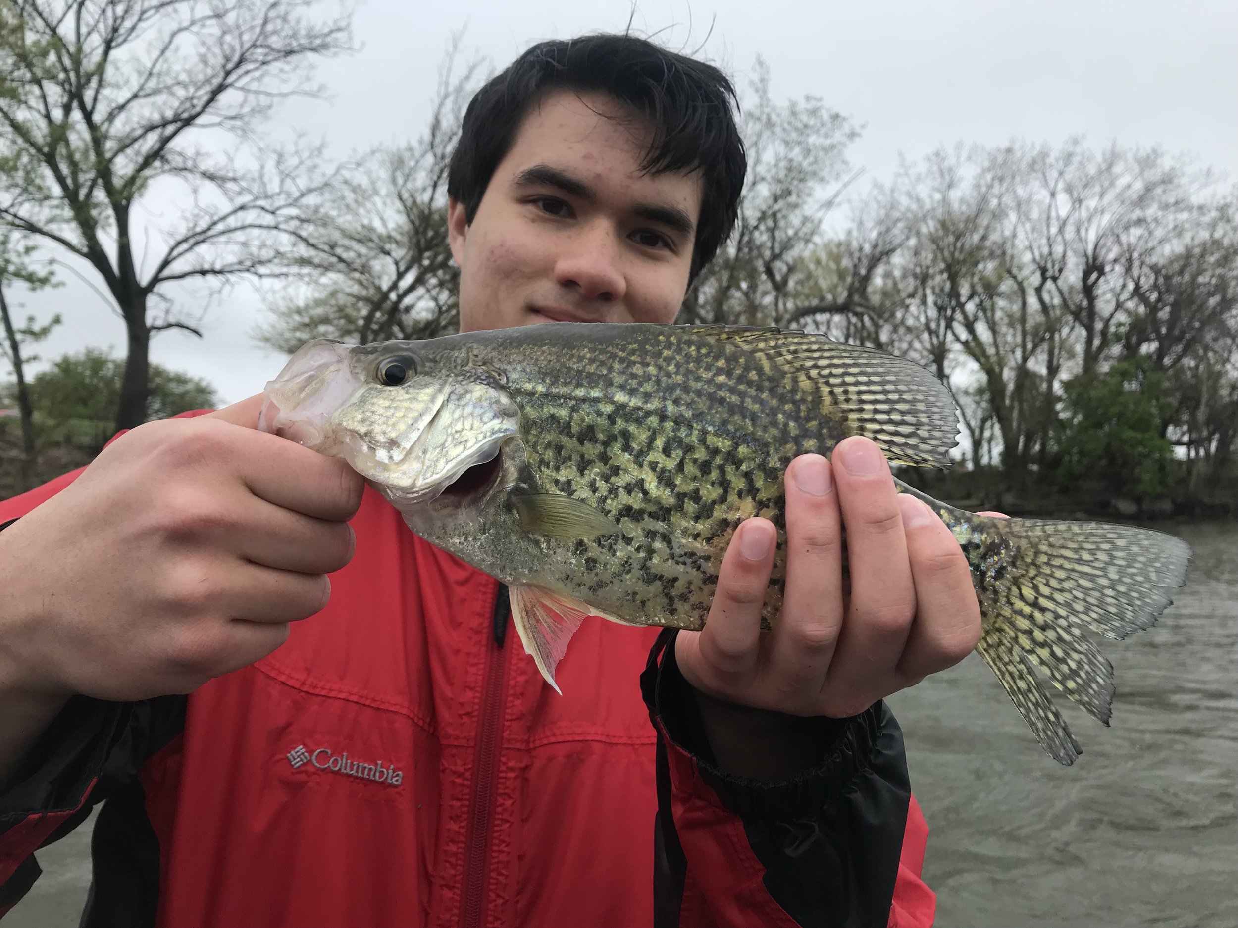 Black crappie on a moving tide