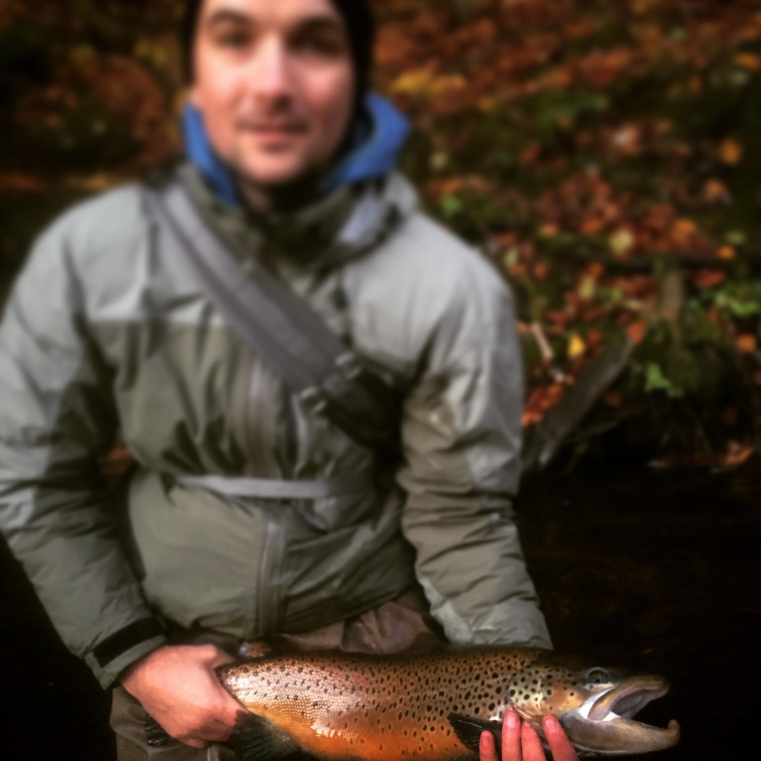 A person holding a large rainbow trout fish outdoors in an autumn forest, dressed in a gray jacket.