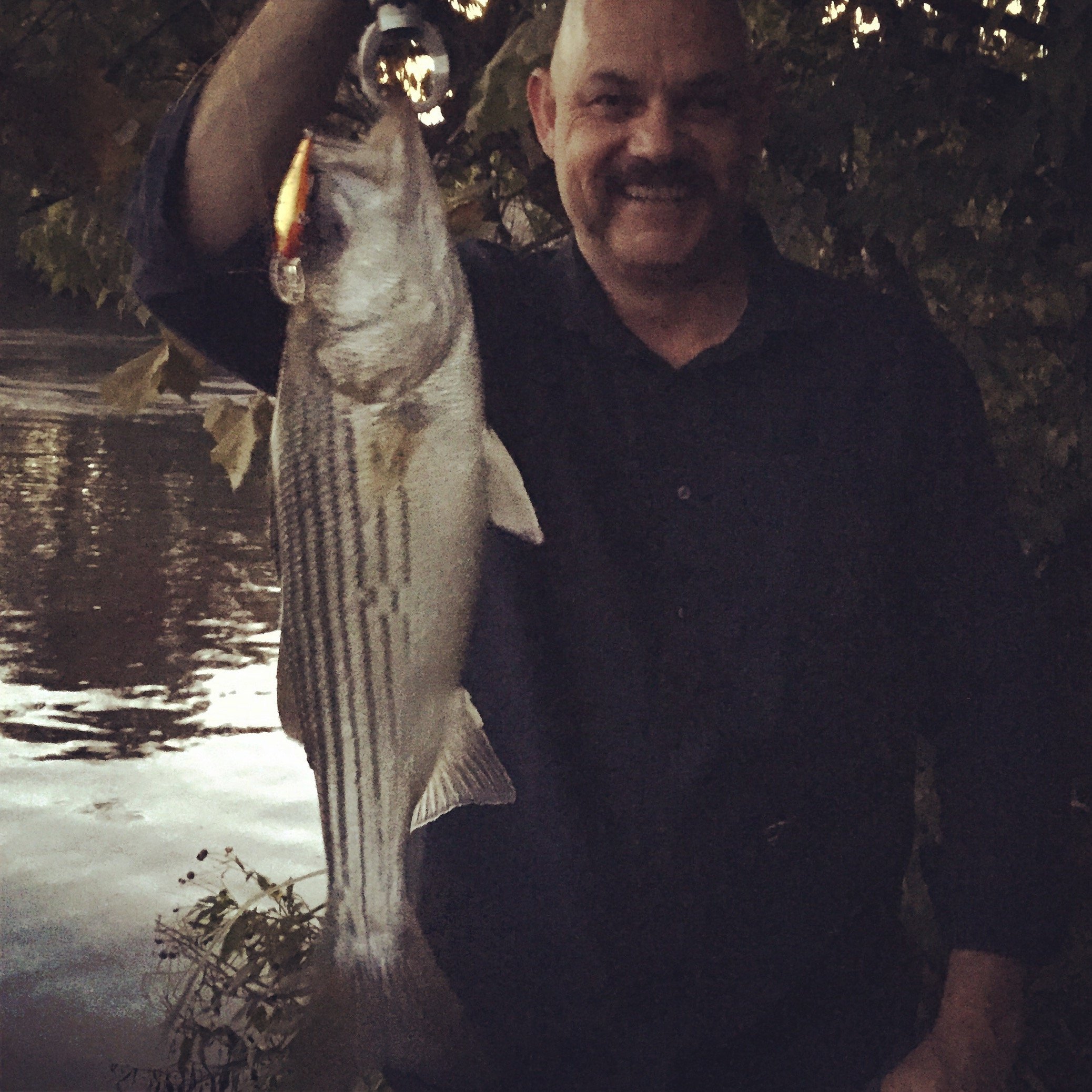 Swinging flies for striped bass 