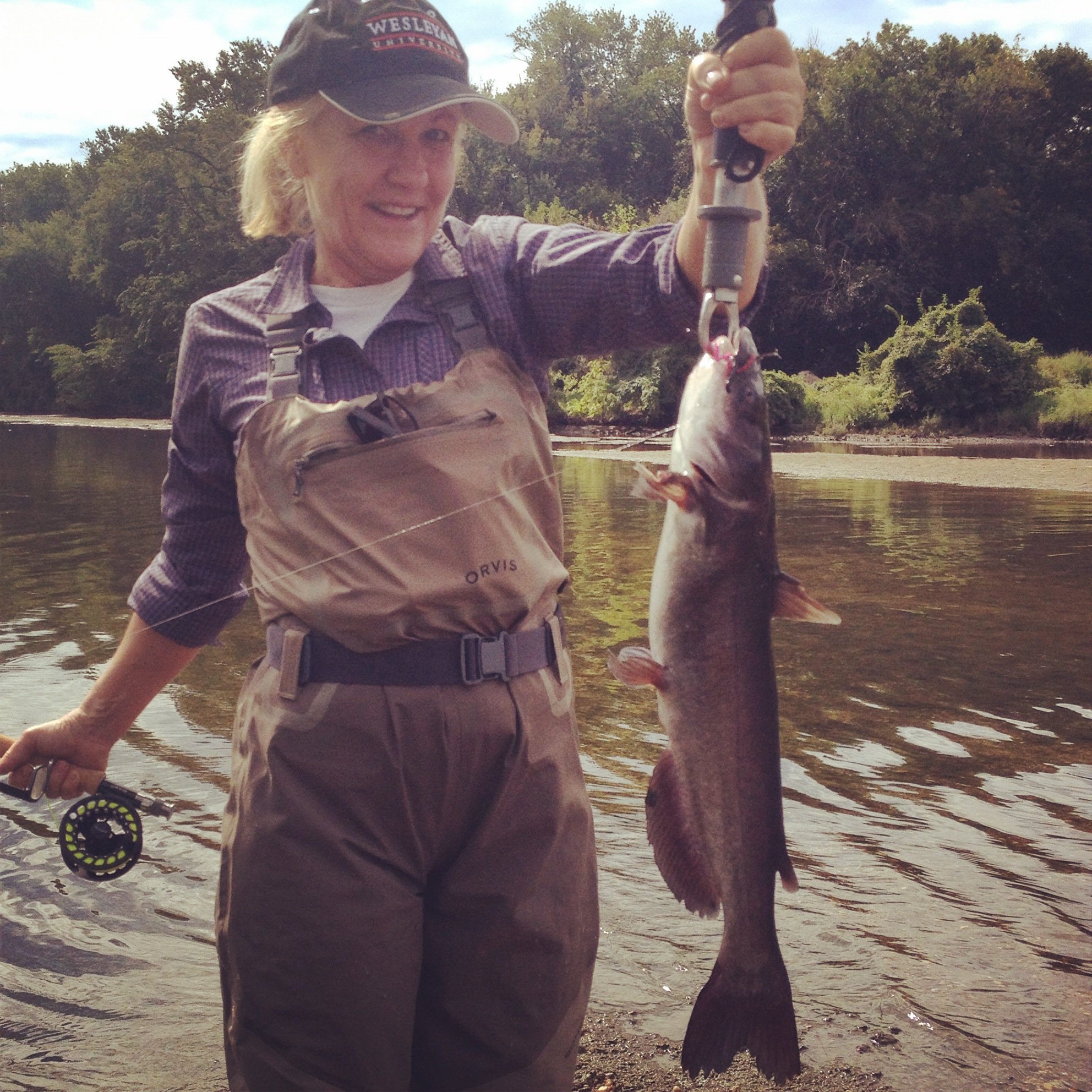 Four Mile Run catfish 