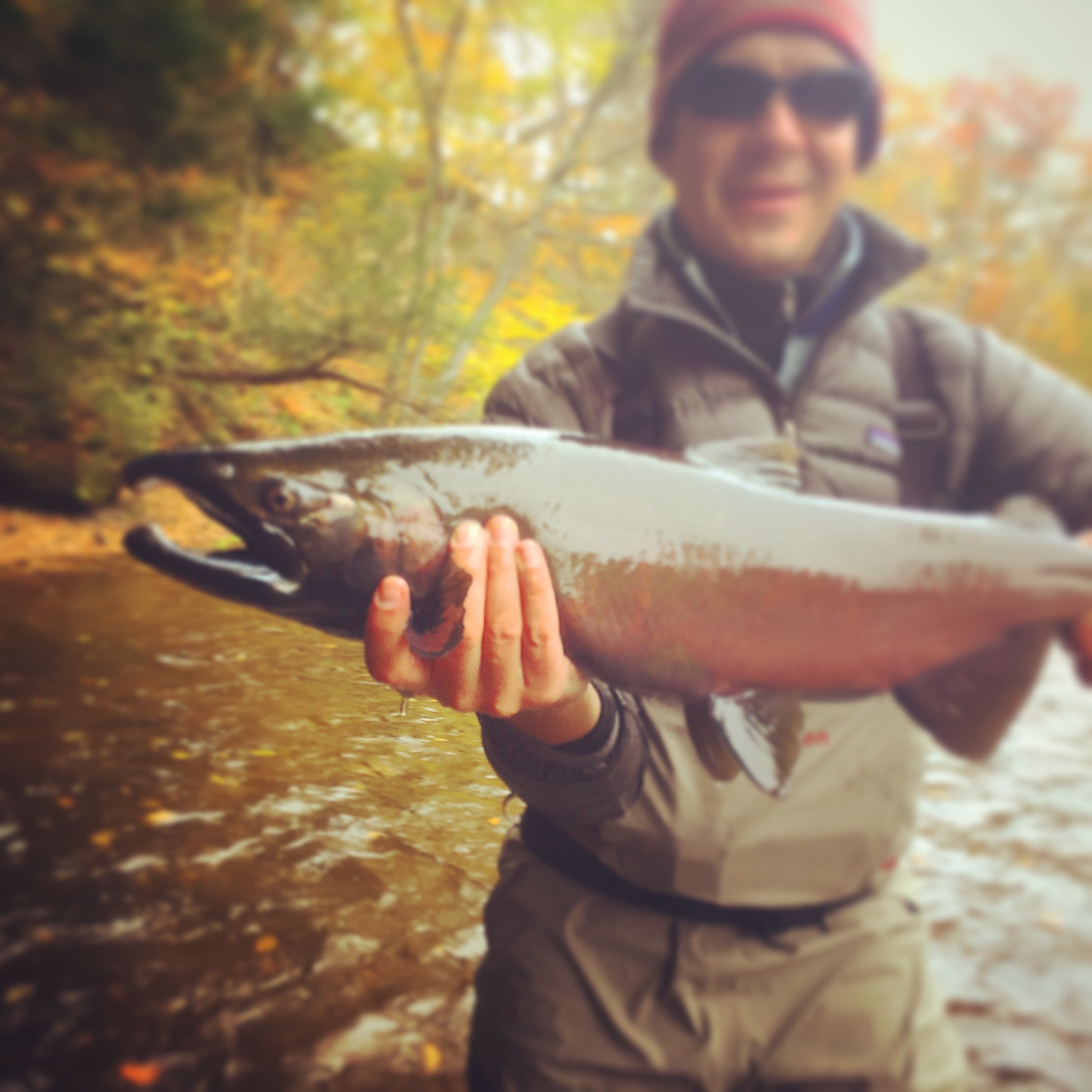 Scott with a coho on the fly 