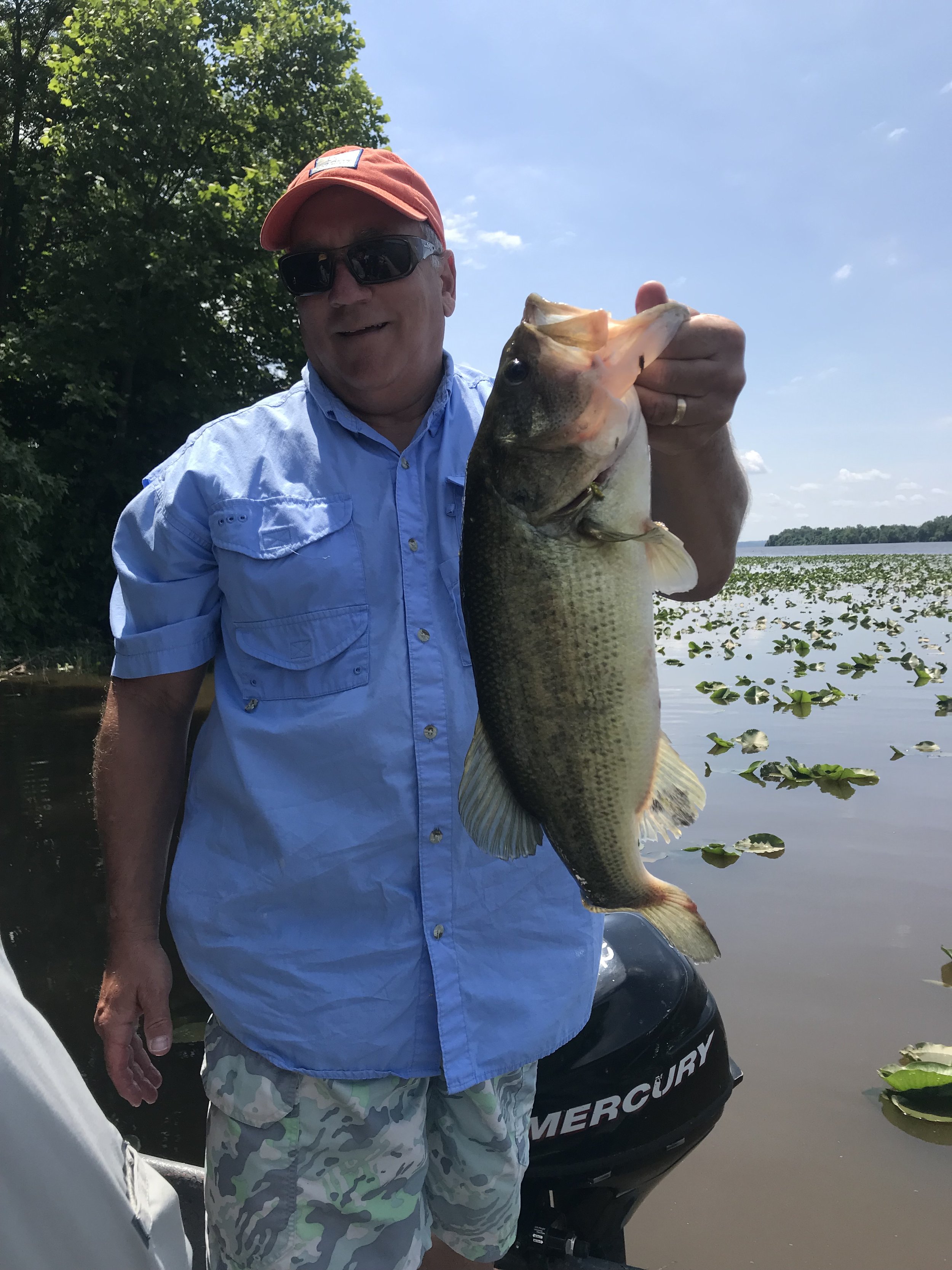 Man in sunglasses, red cap, blue shirt, and camouflage shorts holding a large fish by the mouth on a boat near a lake with water lilies and trees in the background.