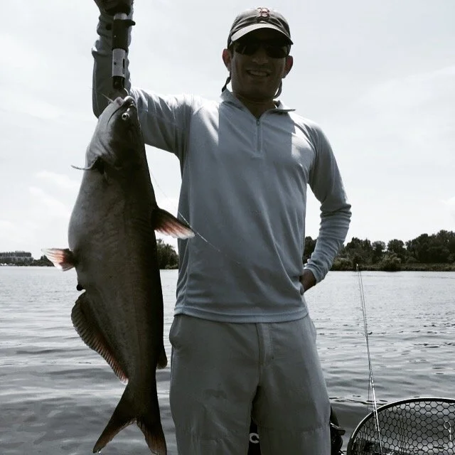 Blue Catfish on the fly 