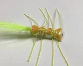 Rob Snowhite fly - scorpion bug
