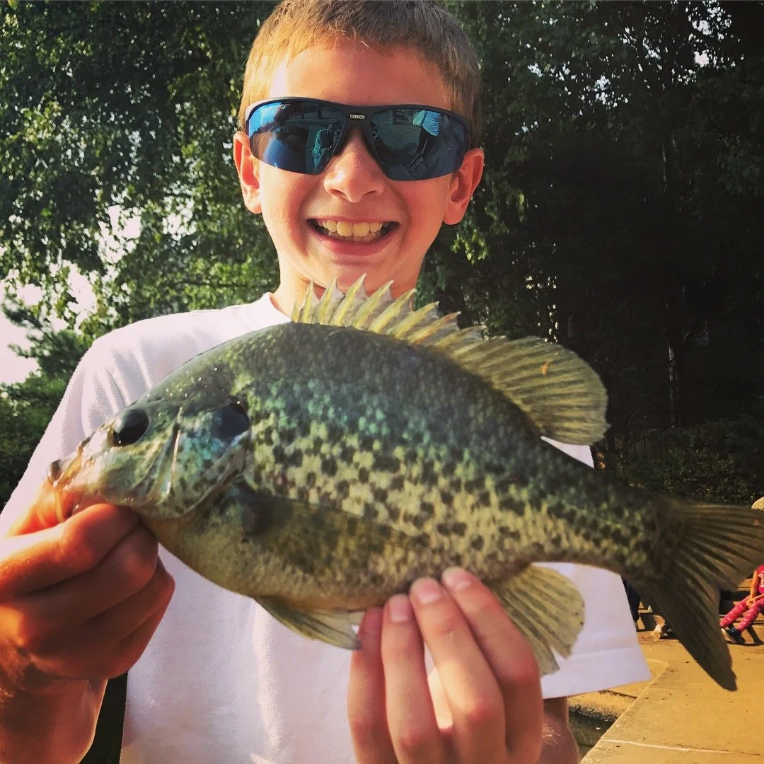 Big red ear sunfish 