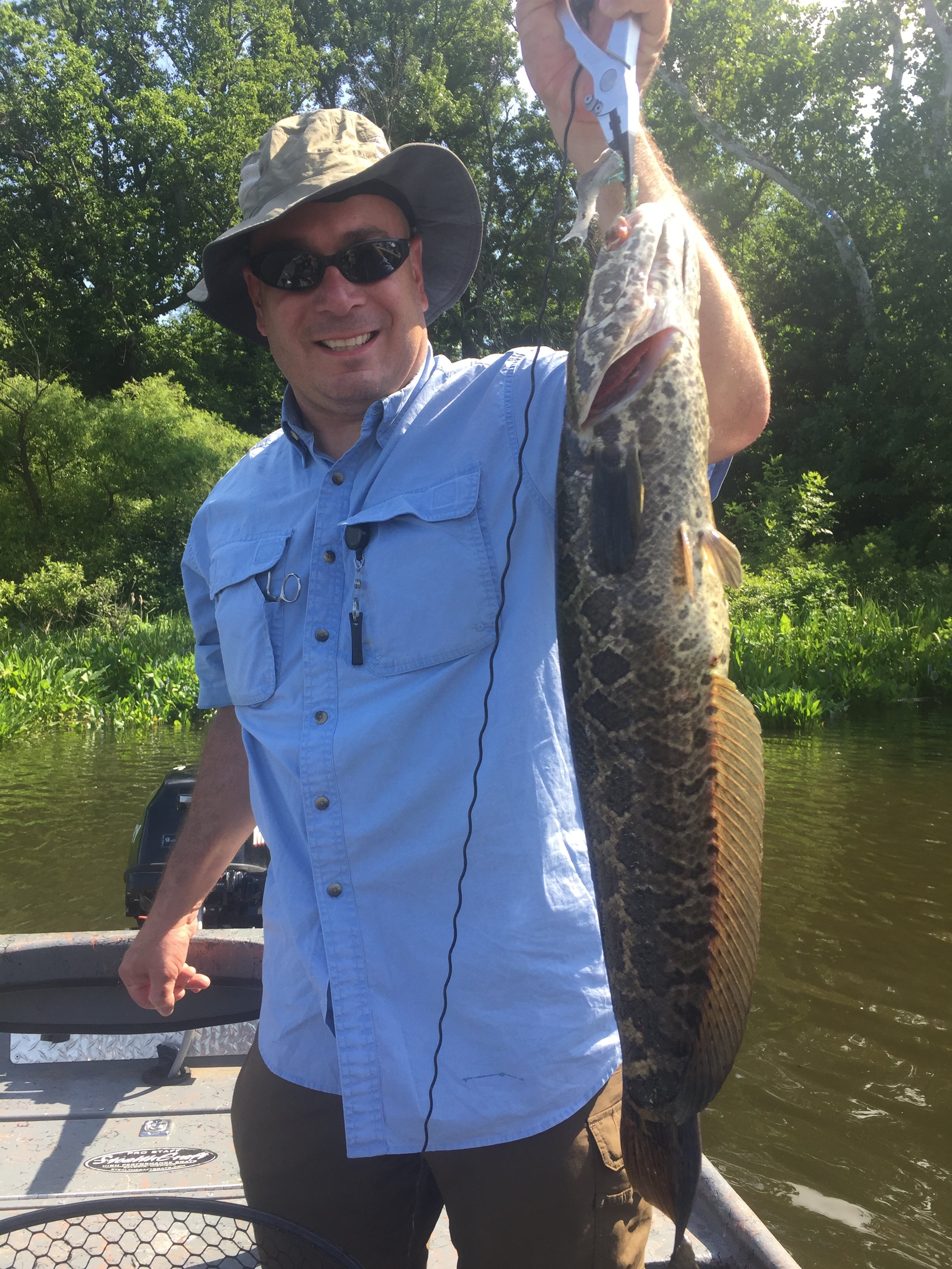 A man wearing sunglasses, a wide-brimmed hat, and a light blue button-up shirt holding a large fish on a boat in a green, forested area.