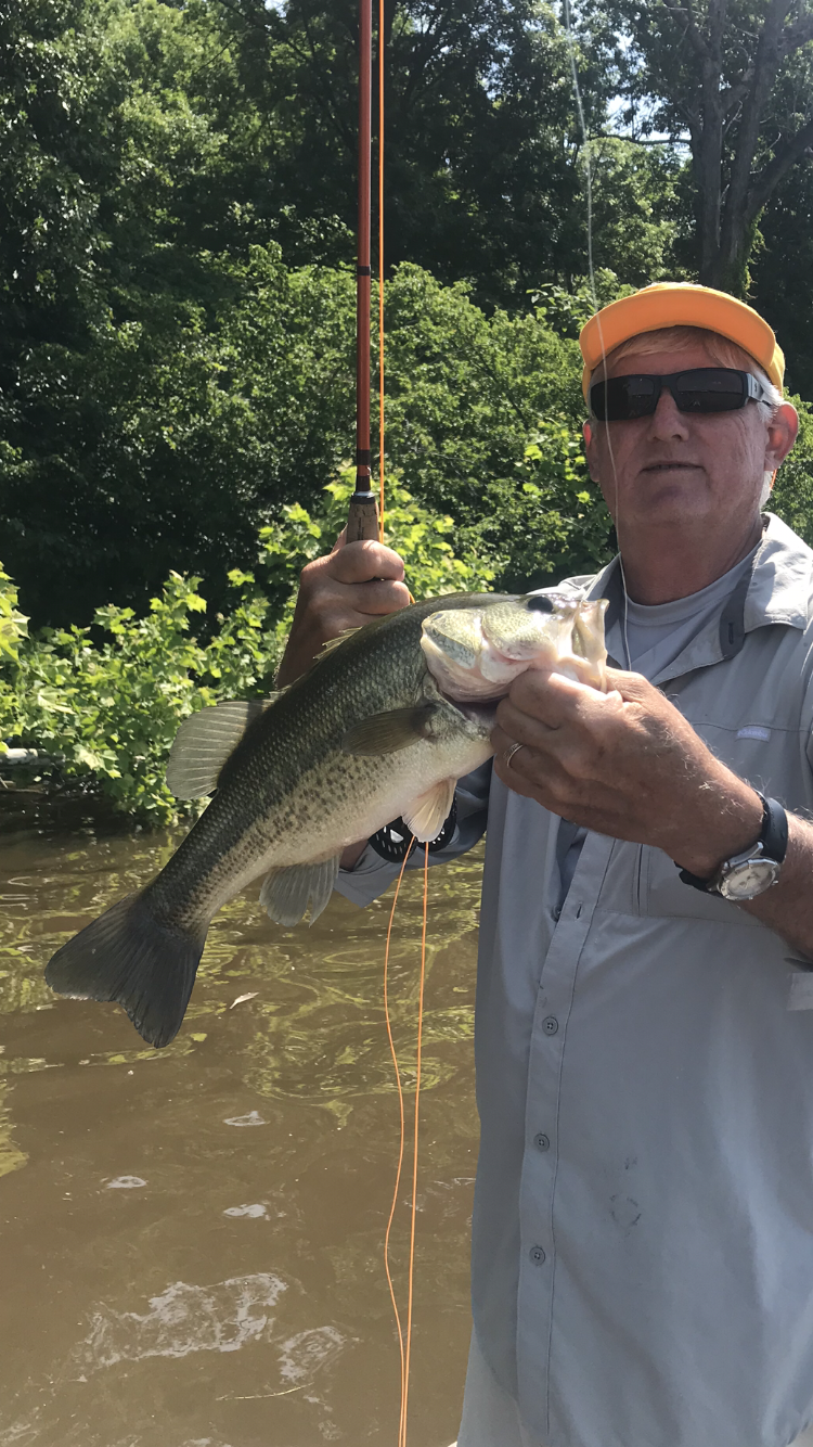 An older man wearing sunglasses, a yellow cap, and a light-colored shirt is holding a large fish, likely a bass, by the mouth with his right hand. He is standing in a freshwater body with water and greenery in the background, and holding a fishing ro