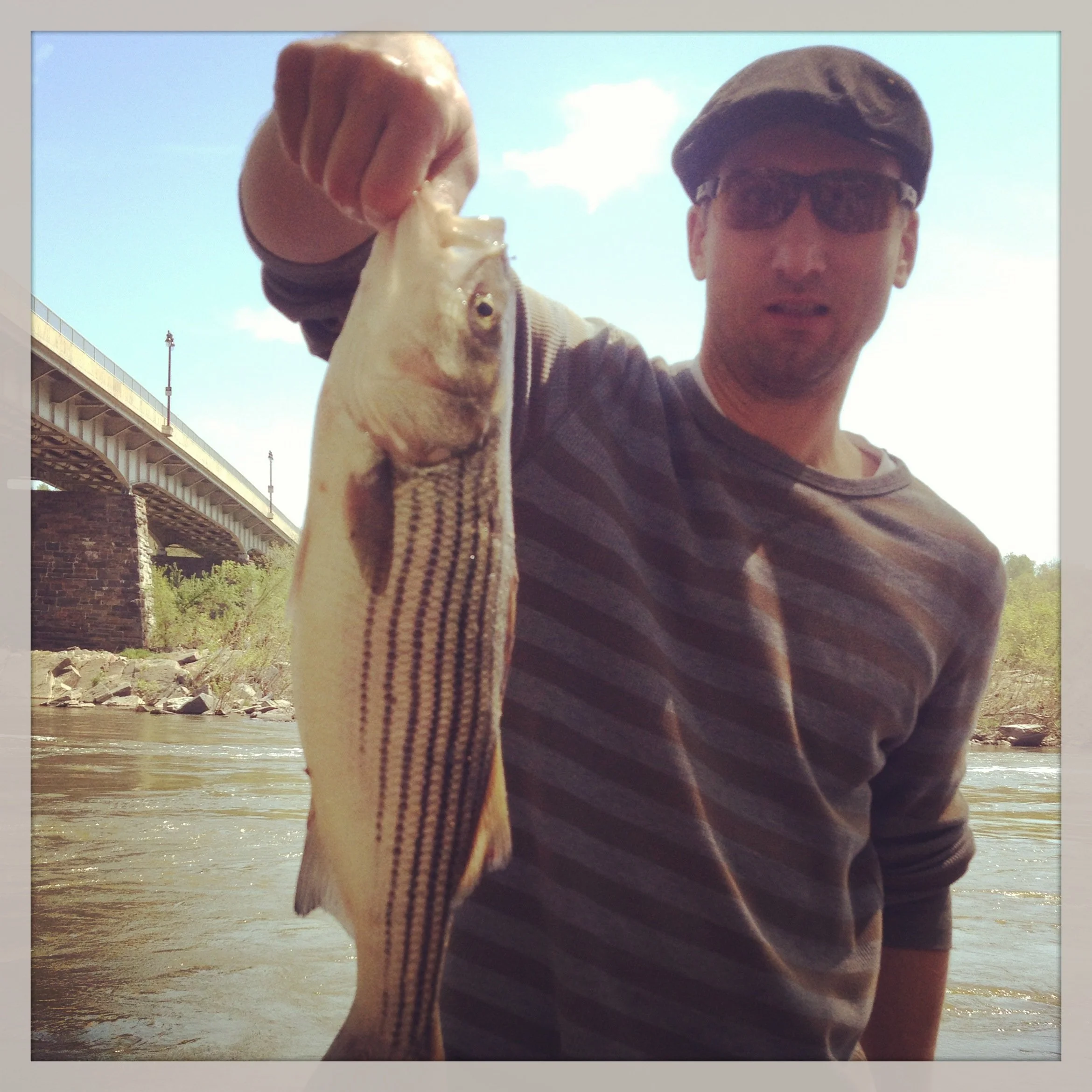 Man holding a large fish outdoors near a river with a bridge in the background.
