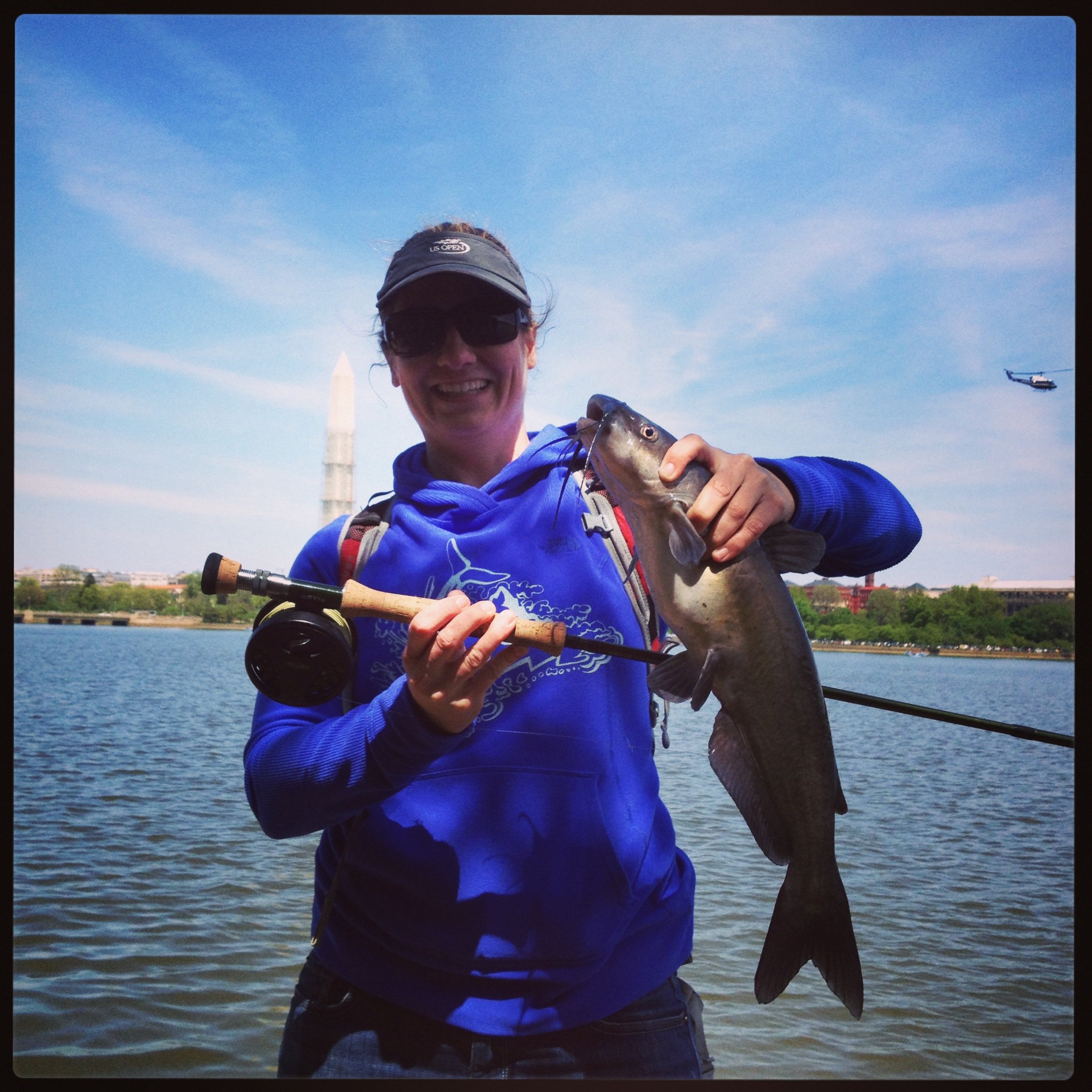 Tidal Basin catfish 