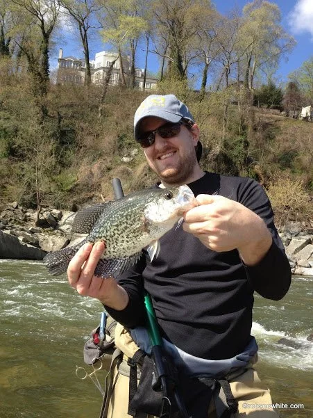 Smiling man in black shirt and sunglasses holding a freshly caught fish by the river on a sunny day.