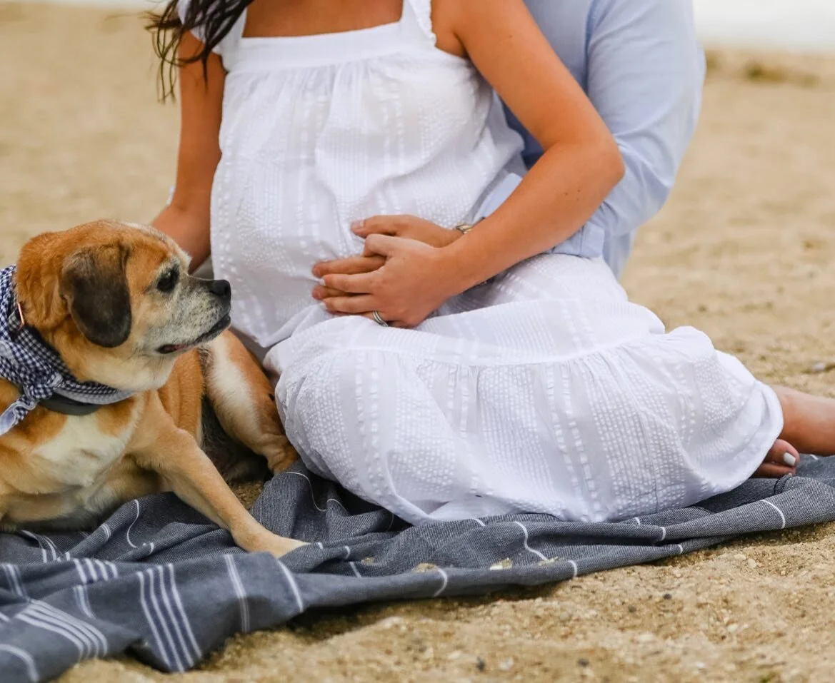 The first love waiting for the new love✨

My favorite part of watching families grow is seeing how the dogs that are our babies seem to know their role so well. In our own life, I&rsquo;ve watched my two pups take on such new personalities when they&