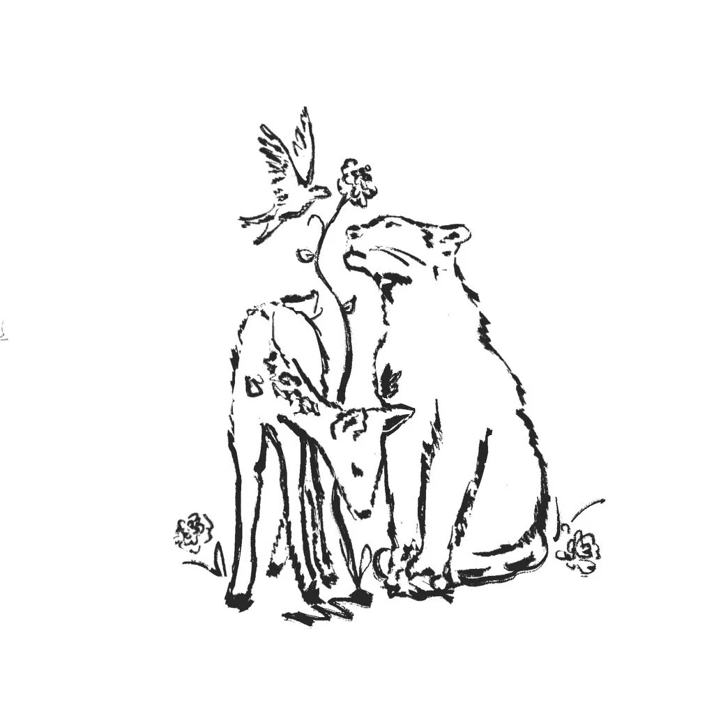 Summer Sessions: For Therapists "What We Carry, What Carries Us"