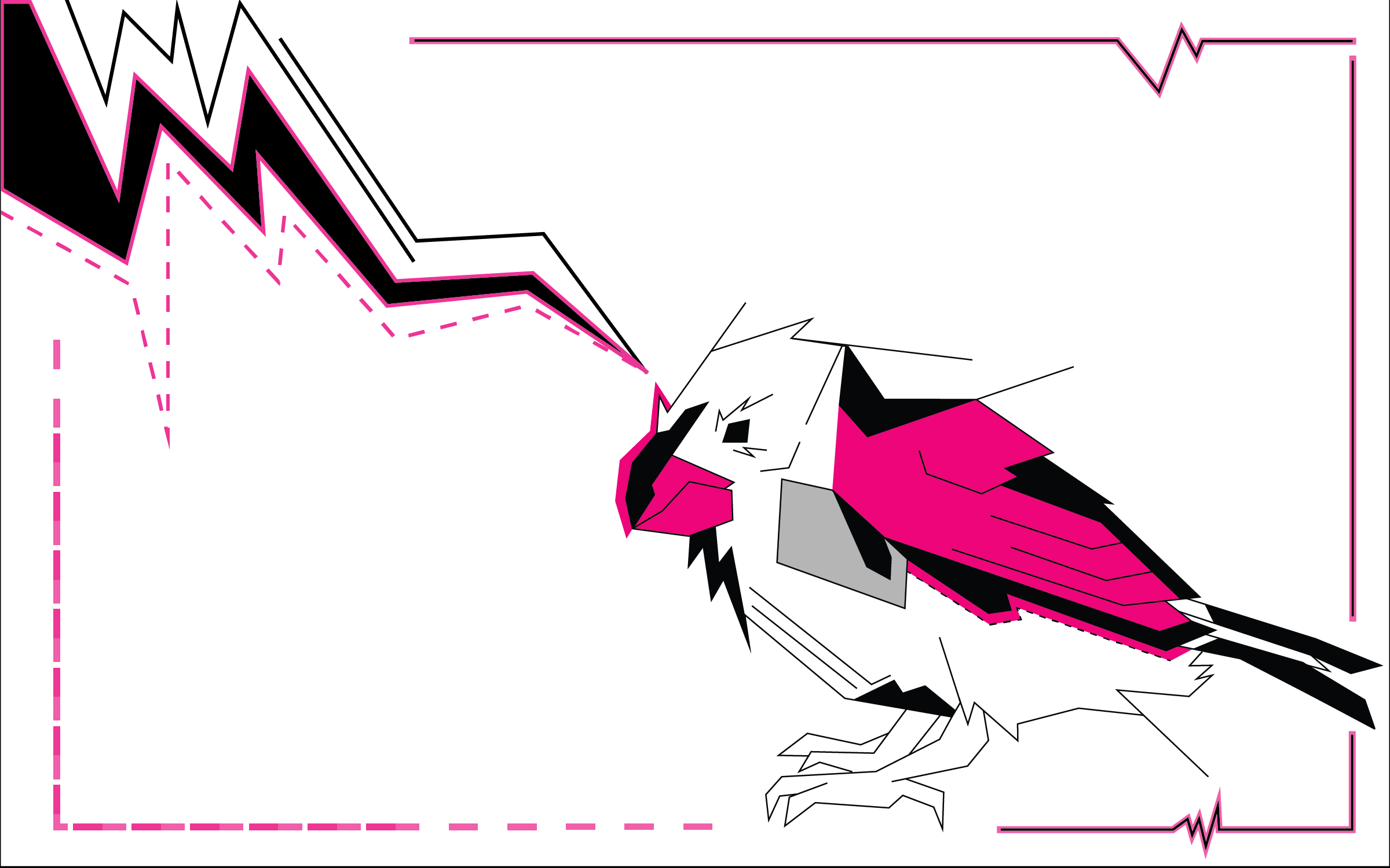 finches-05.png