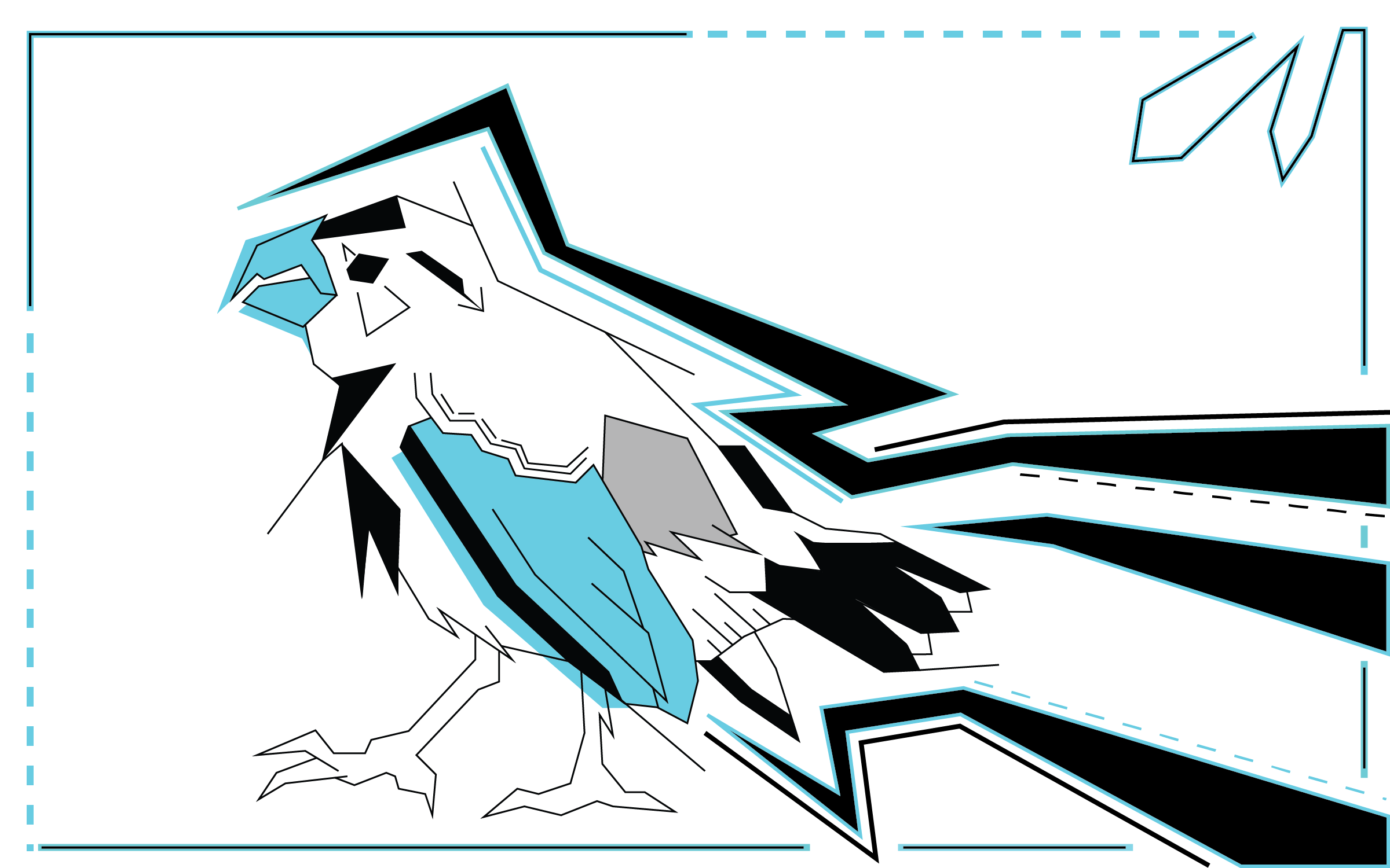finches-02.png