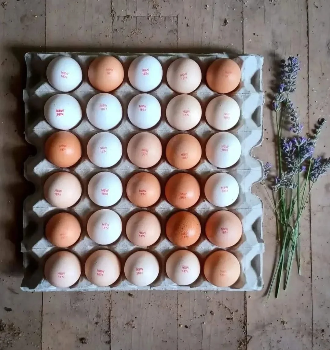 Tray of 30 Coolah Valley Eggs