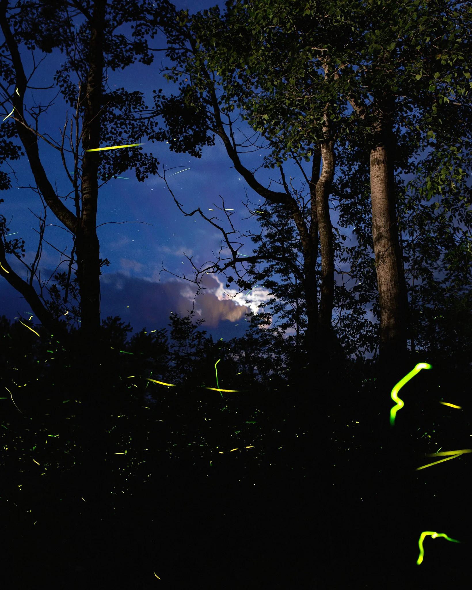 StarStaX_IMG_9466-IMG_9706_lighten.tiff 070322_2-Edit.jpg