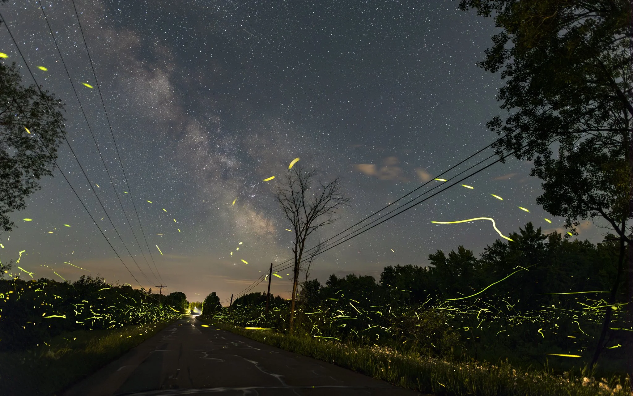 _X5A1014-layers darkened-cropped.jpg