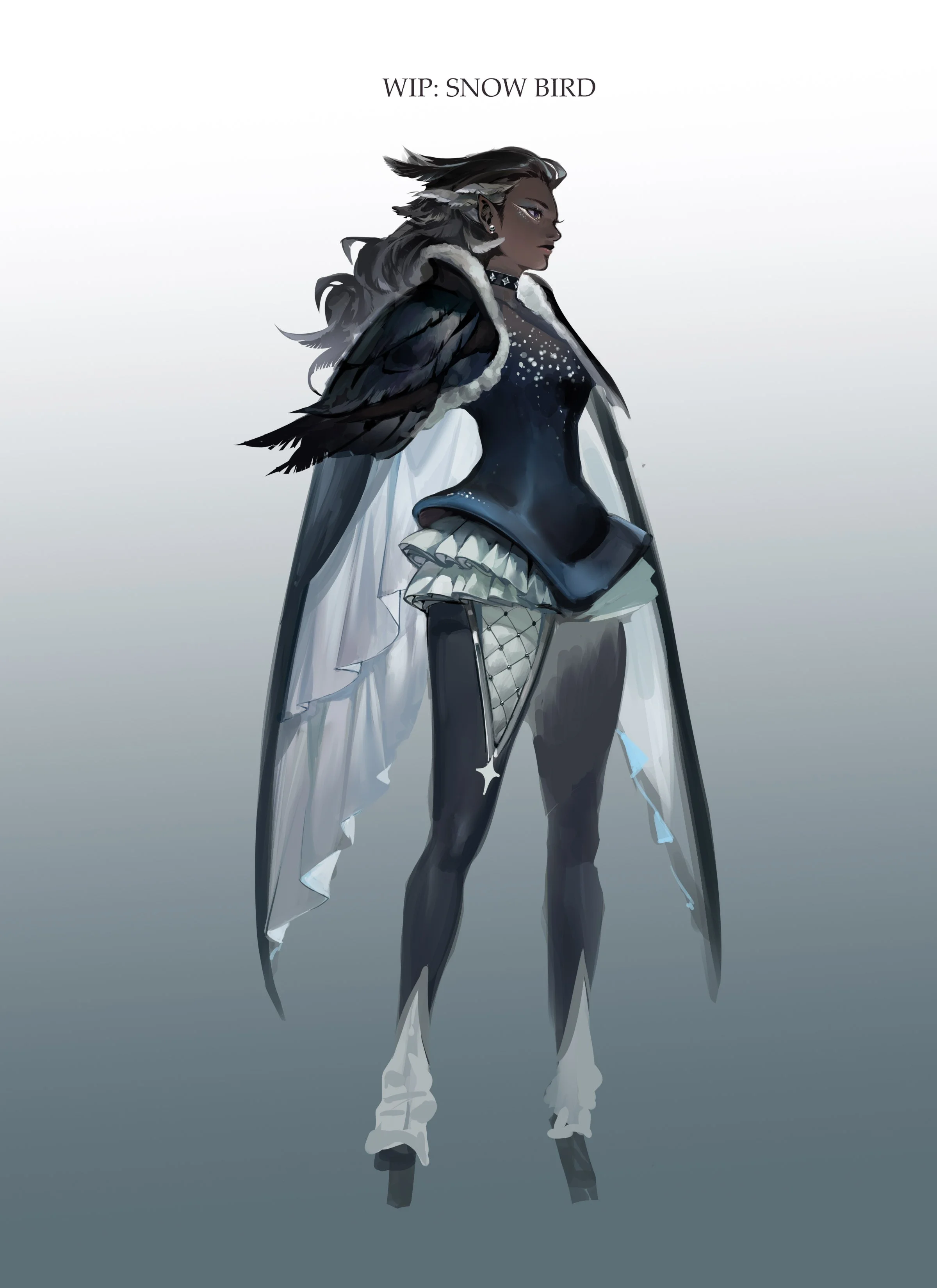 SnowBird_Design.jpg