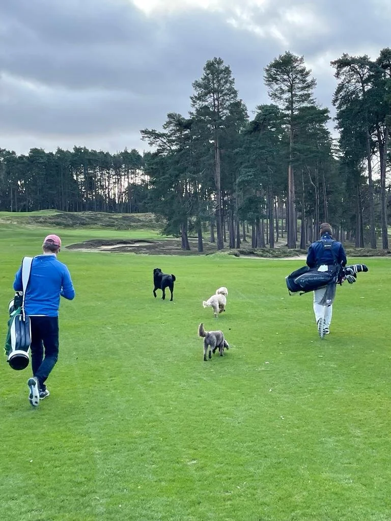 WhatsApp Image 2023-01-16 at 00.56.02.jpeg