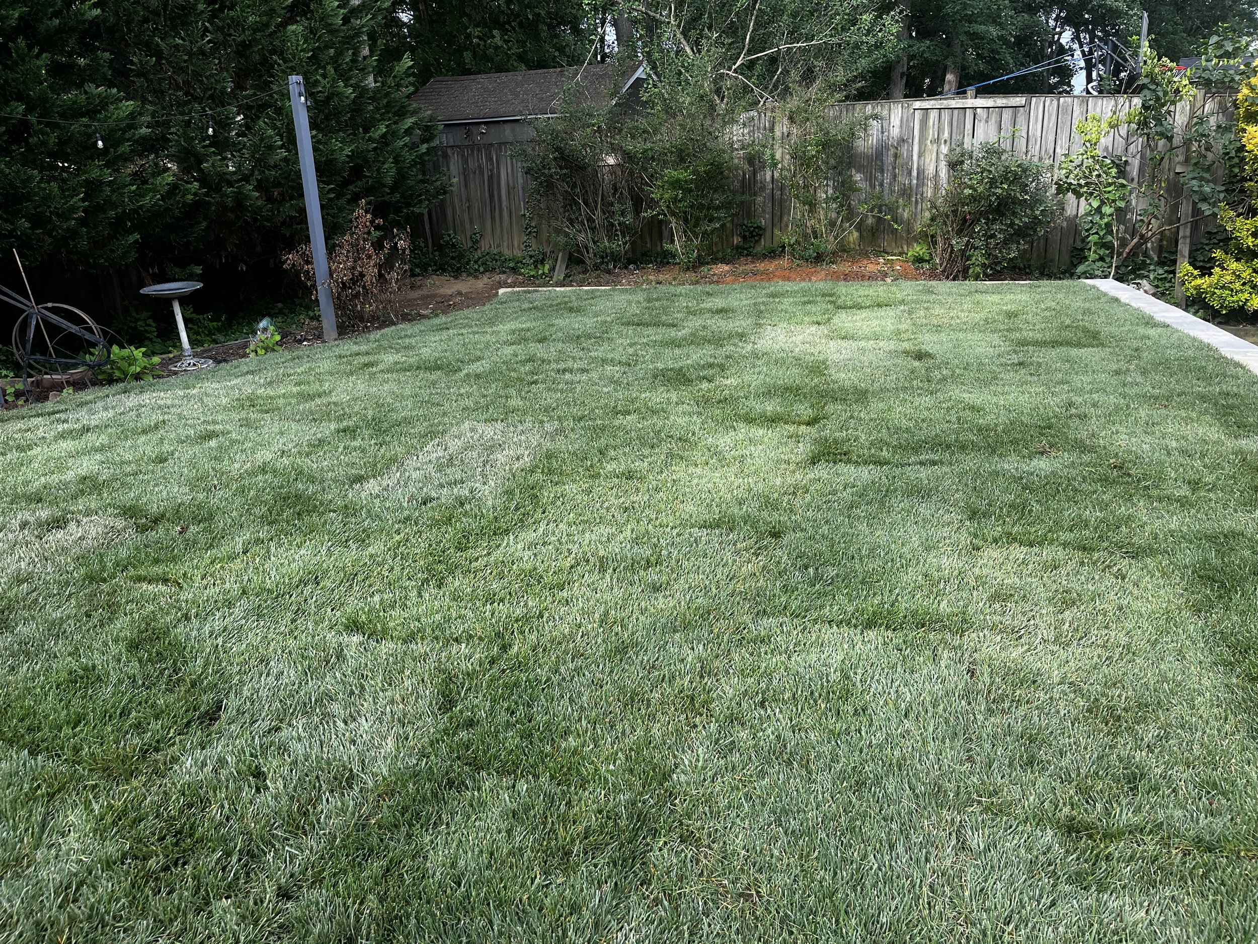 sod installation
