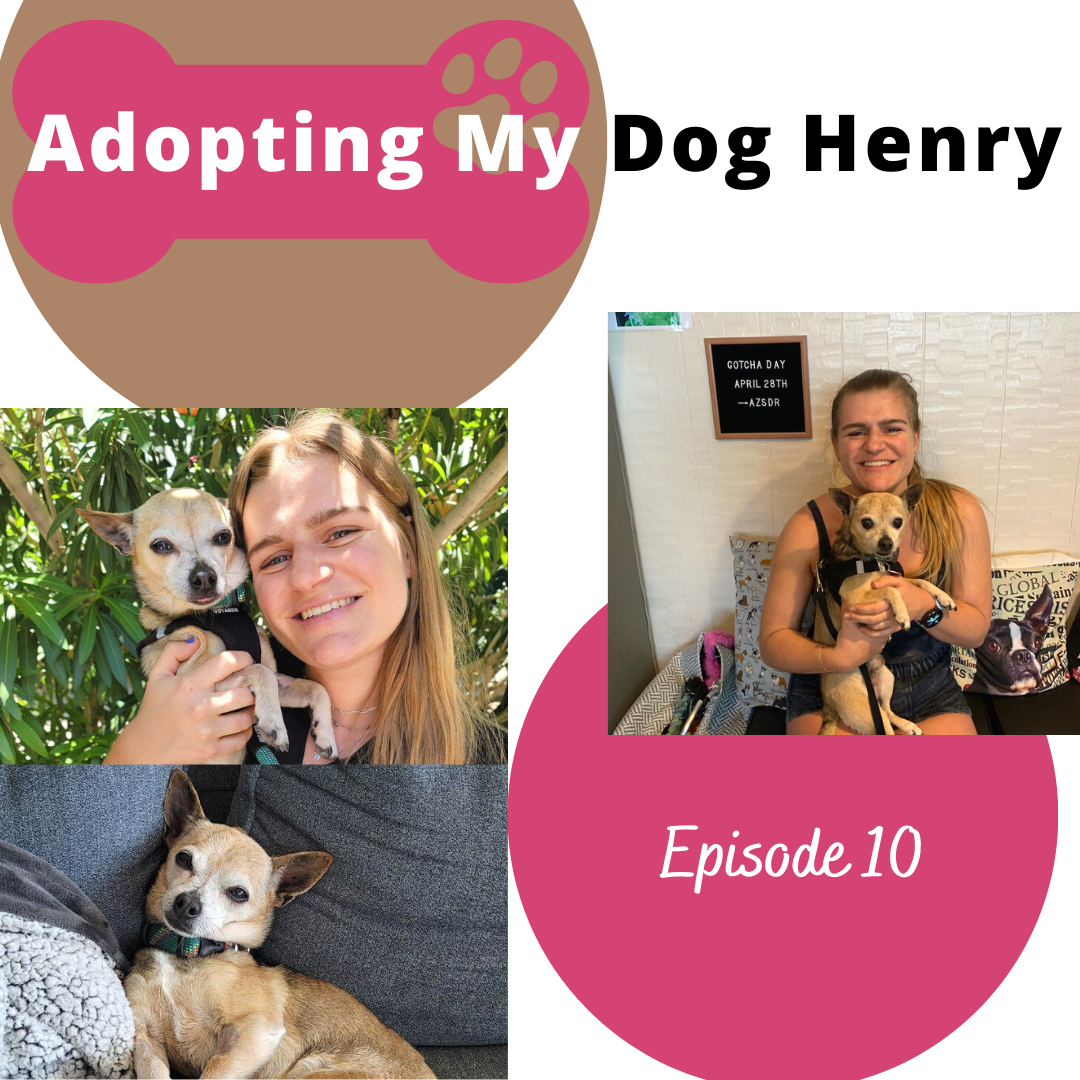 Adopting My Dog Henry.png