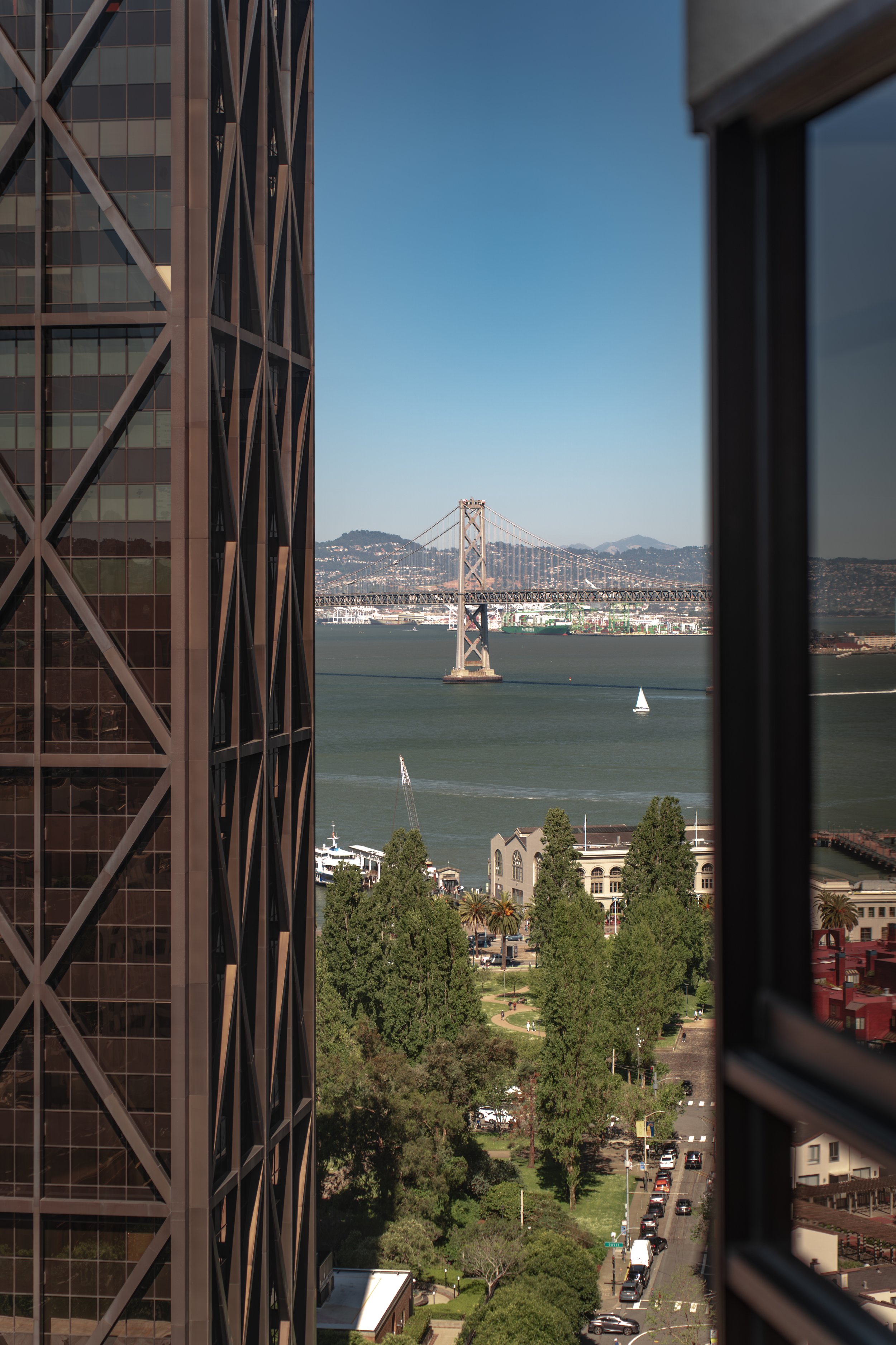 DSC08091-Enhanced-NR 2.JPG