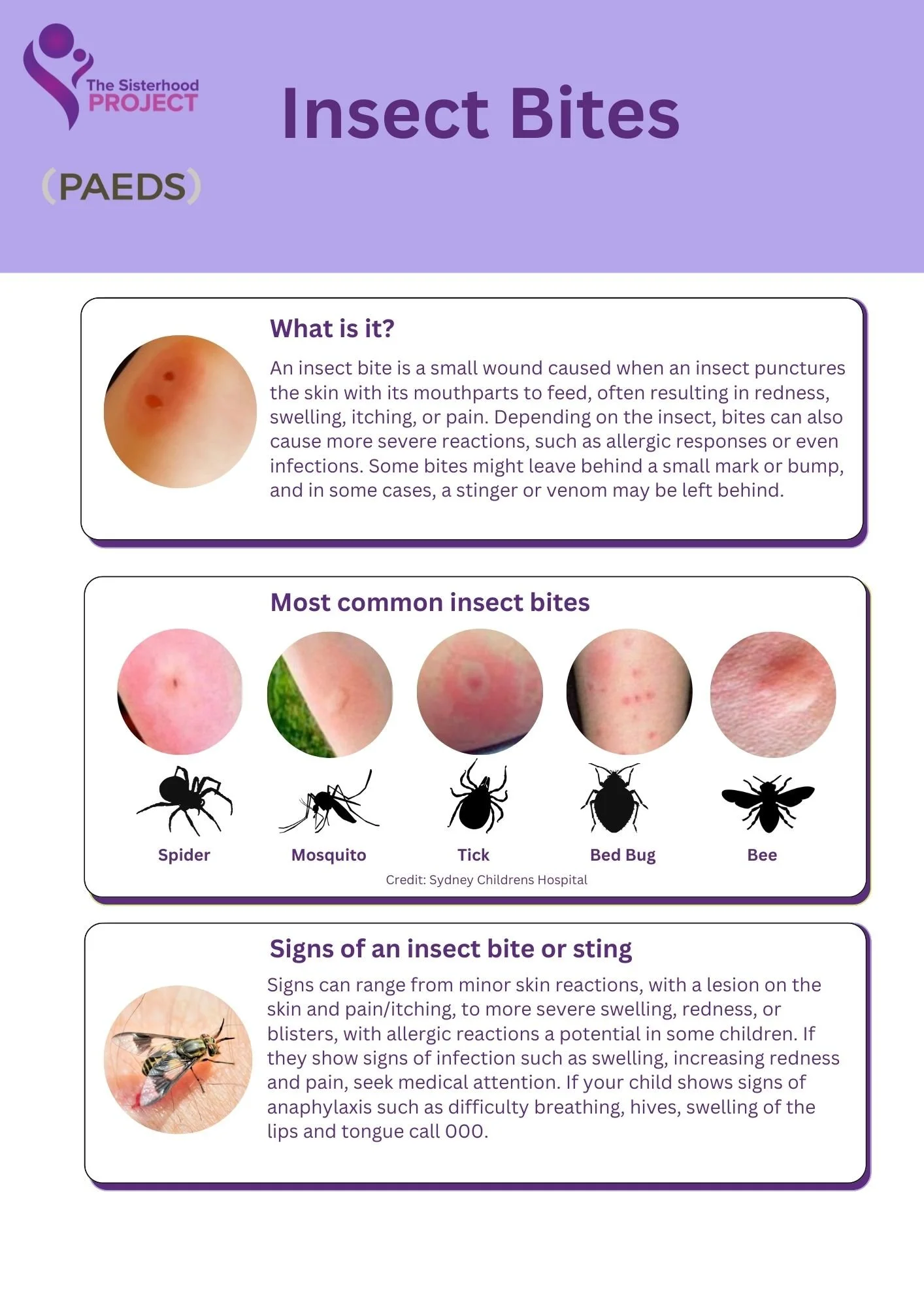 Insect Bite First Aid: What Parents Need to Know — The Sisterhood Project
