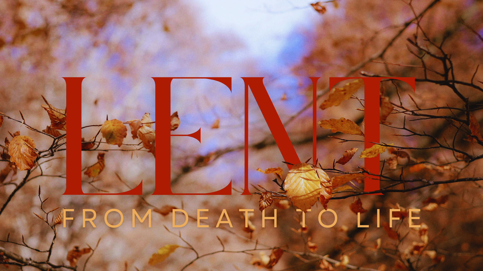 Lent: From Death to Status - Week 4