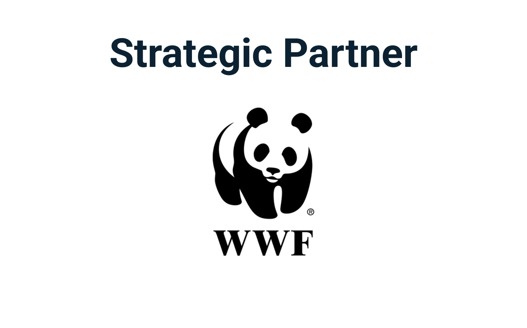 Strategic Partner-1.png