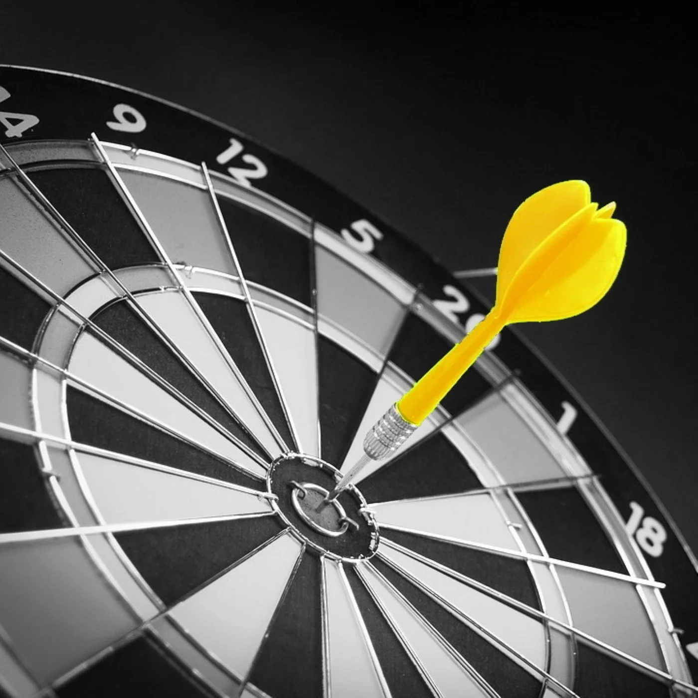 How to Go Big in Your Power BI Career by Niching Down