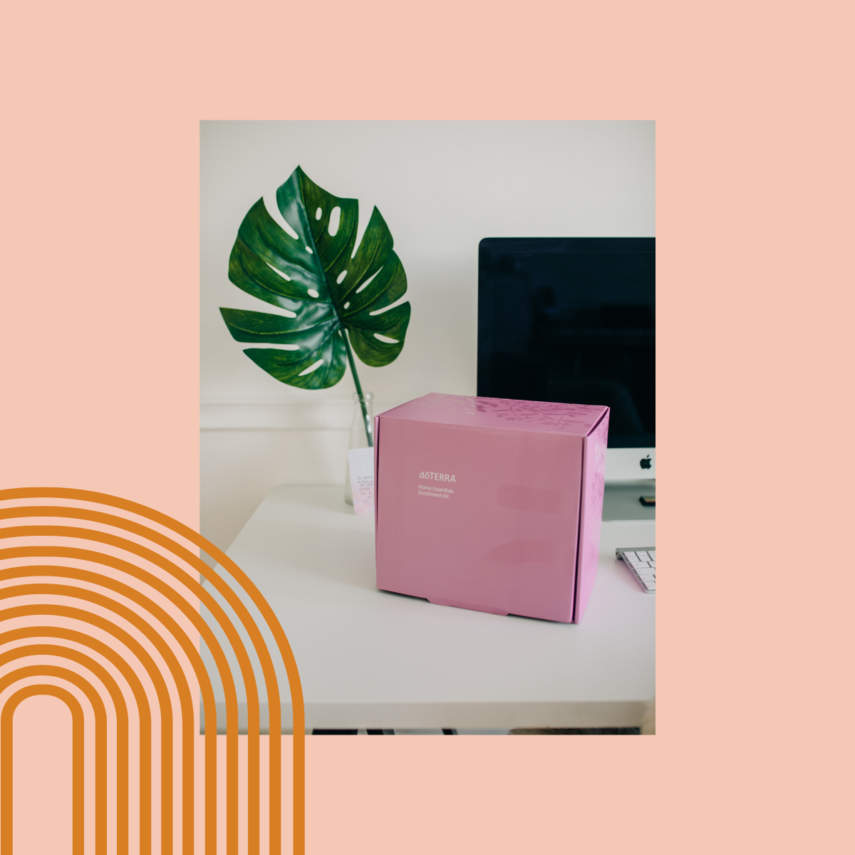 Dein Start in die Welt der Öle