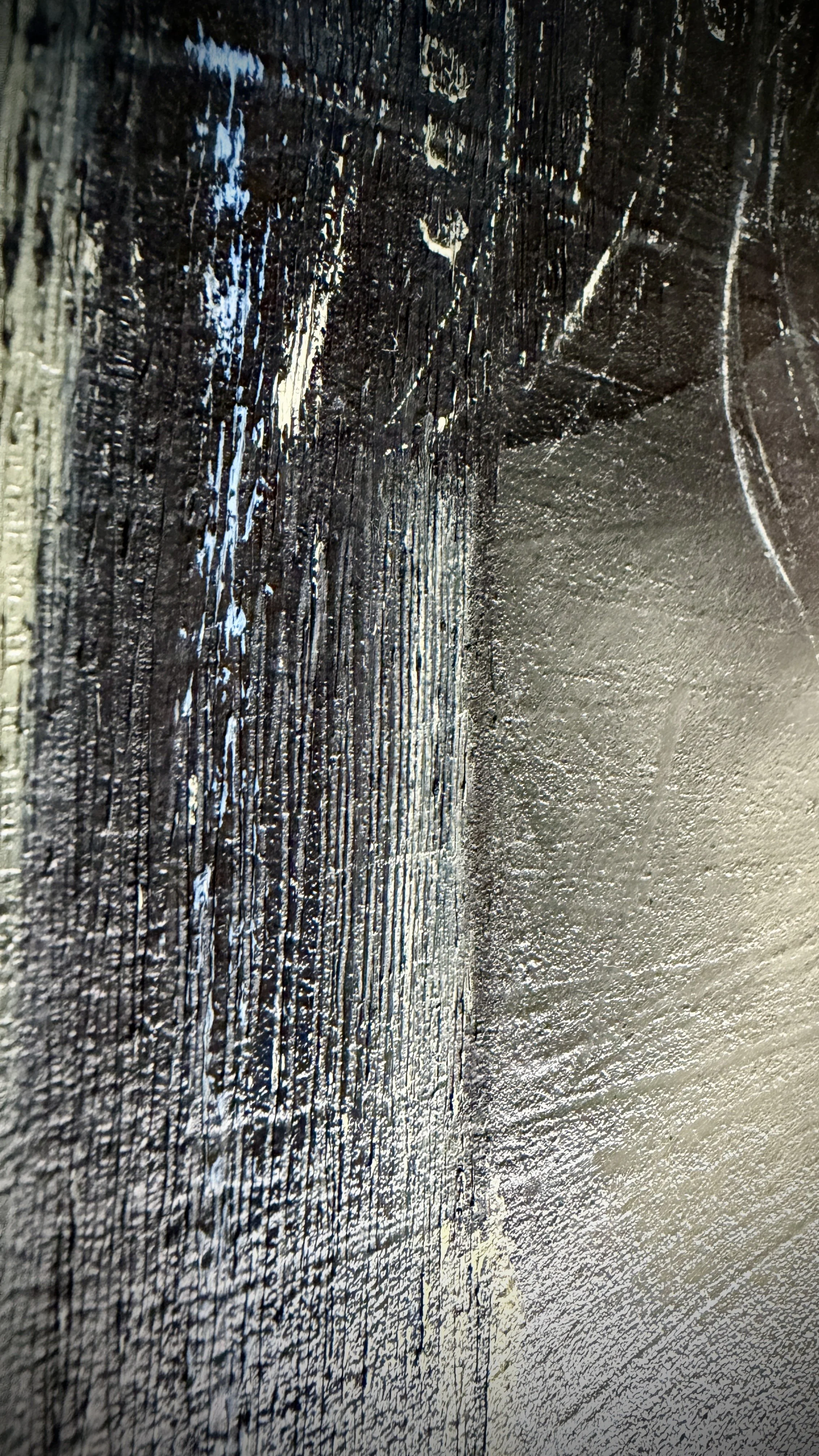 She watches something slipping away, like a dream. Butterflies rest in her hair, fragile and alive against her reserved manner, signs of a still warm and fluttering spirit.