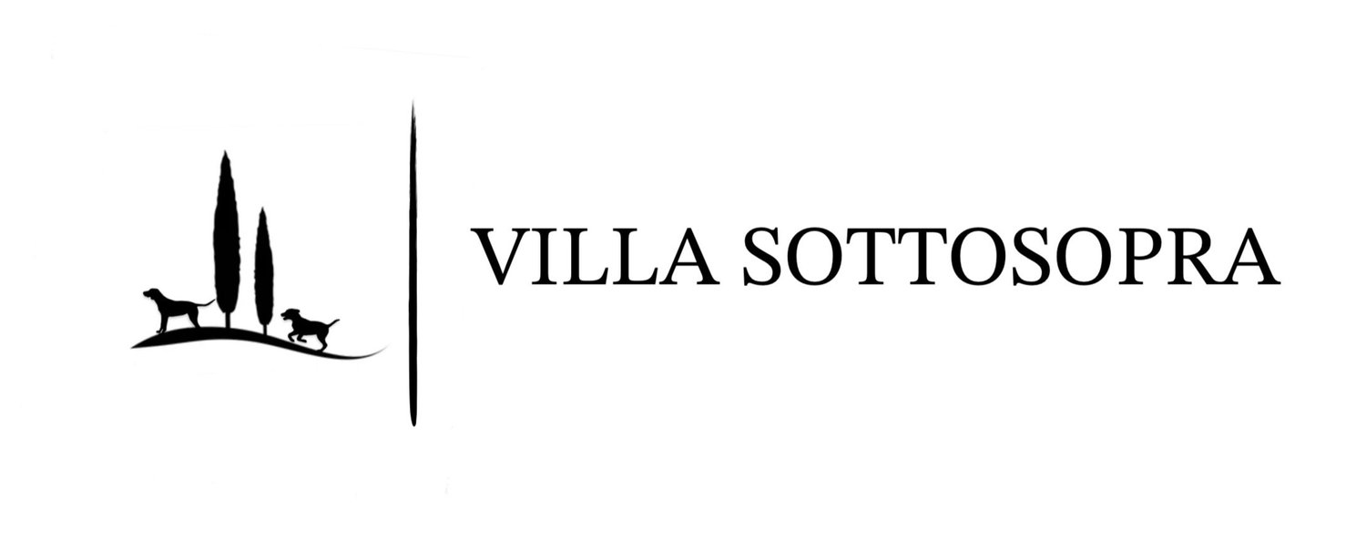 Villa Sottosopra